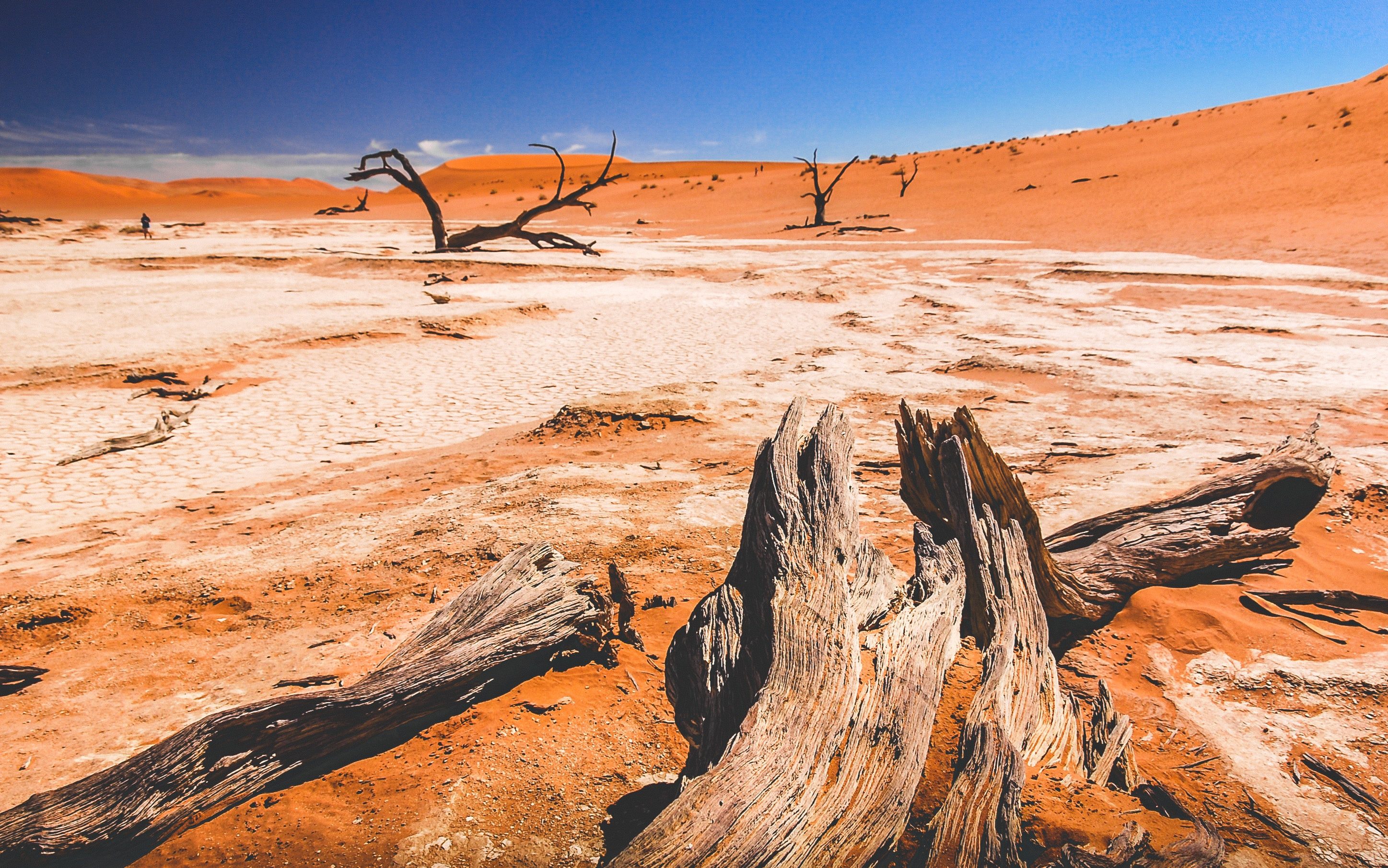 Deadvlei Namibië