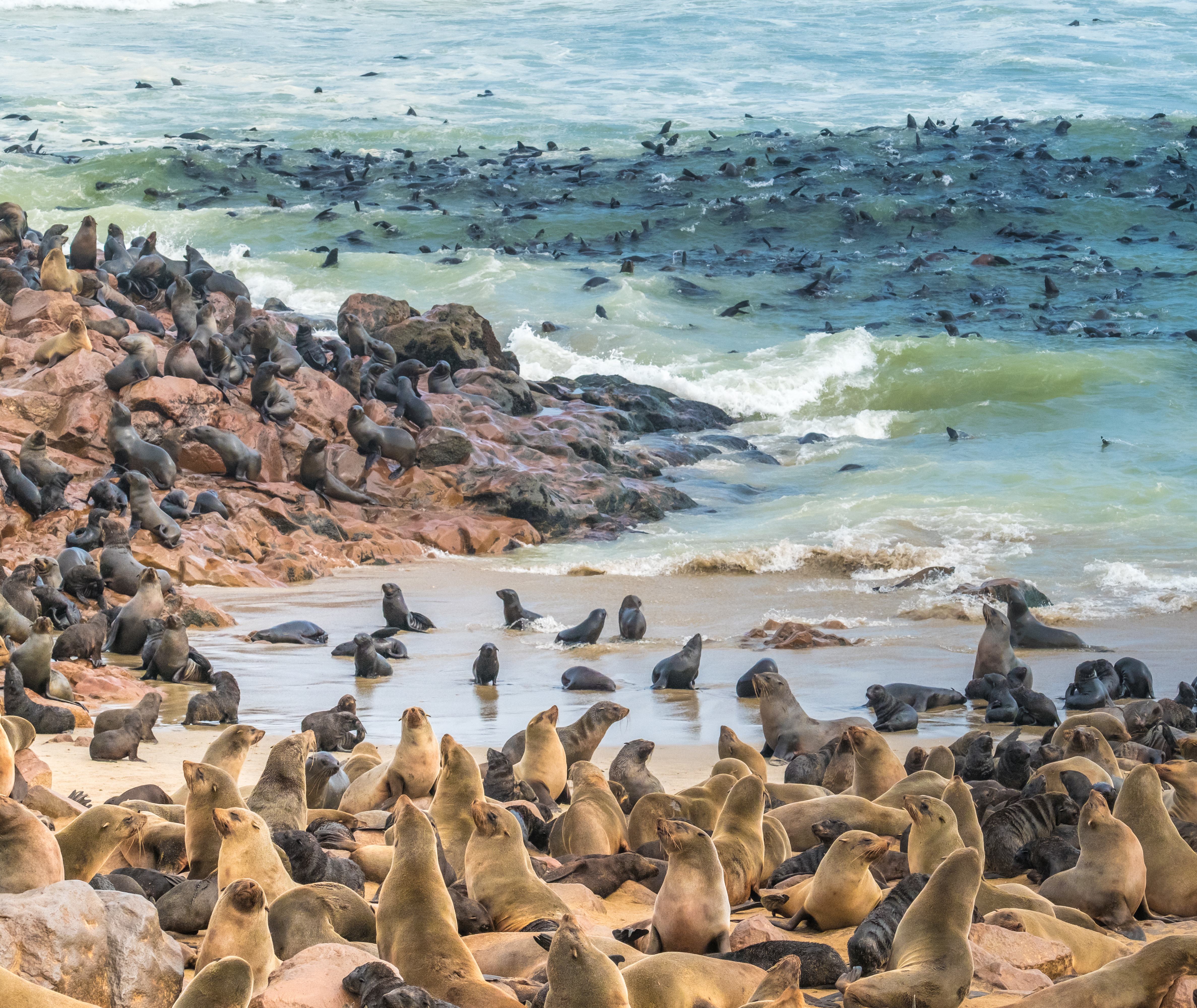 Skeleton Coast Namibië
