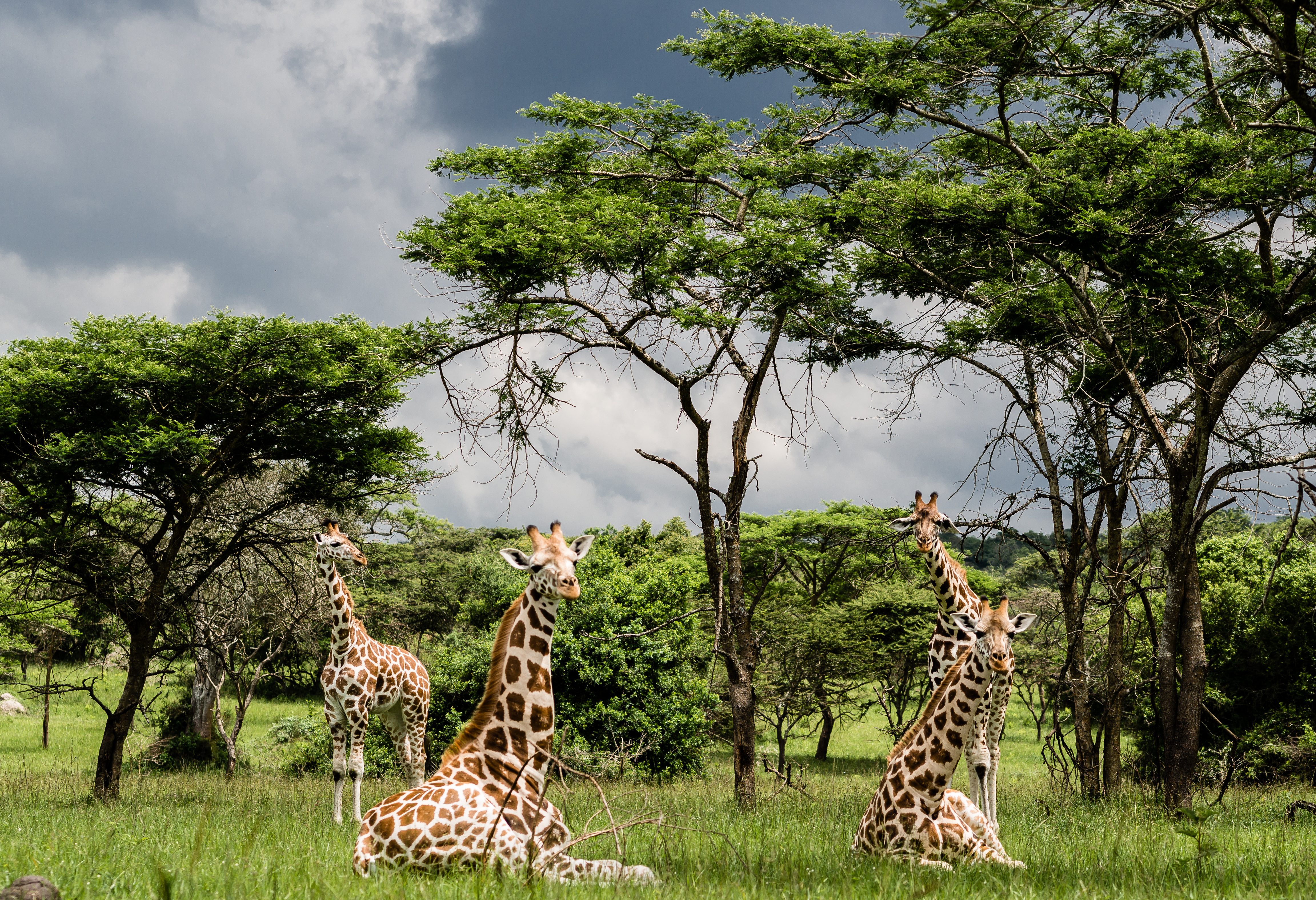 Lake Mburo in Uganda