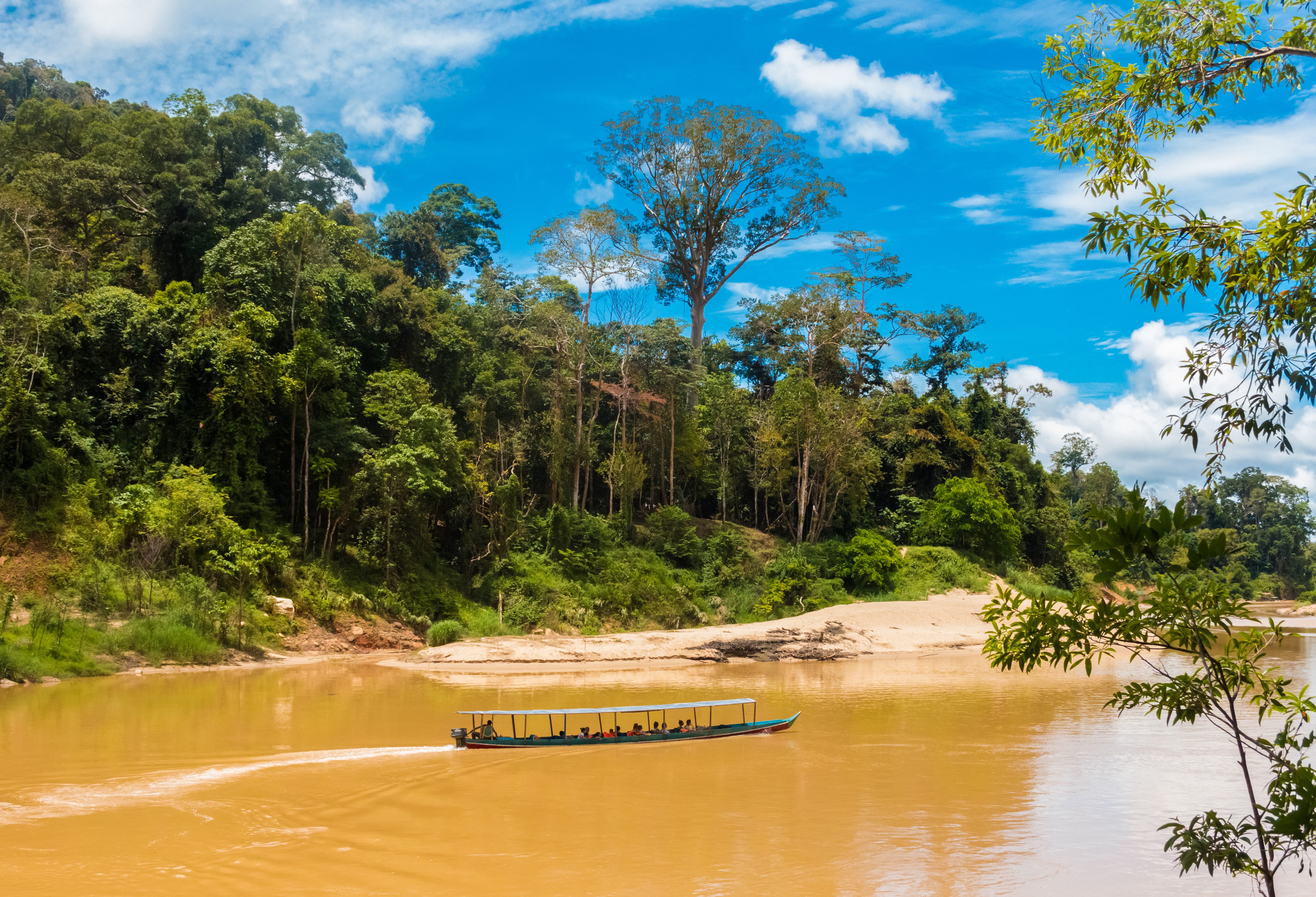 Longtailboot transfer naar Taman Negara in West-Maleisie