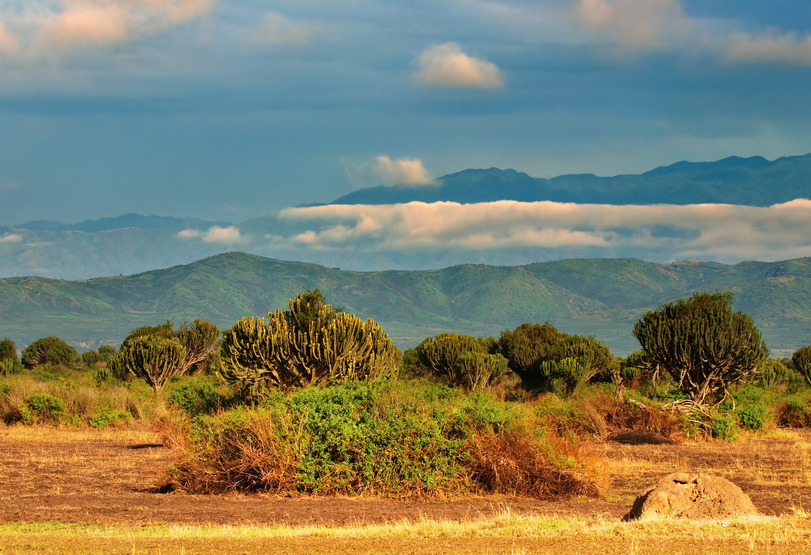 Queen Elizabeth National Park in Uganda