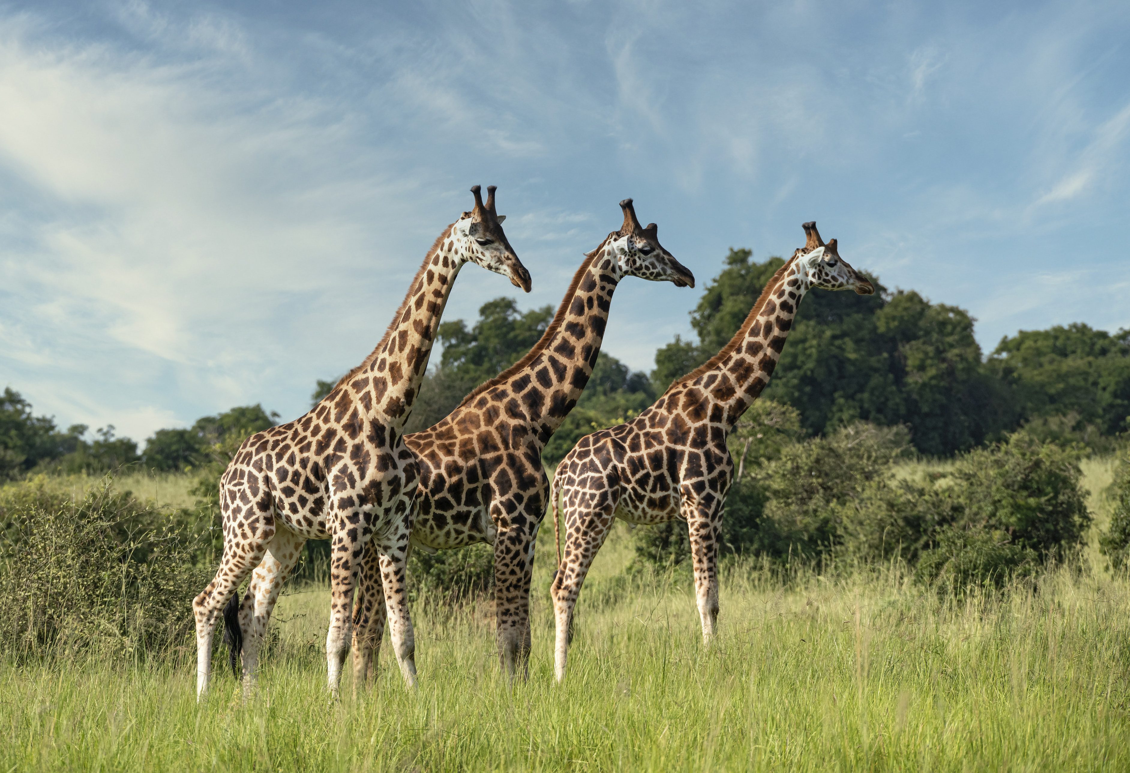Lake Mburo in Uganda