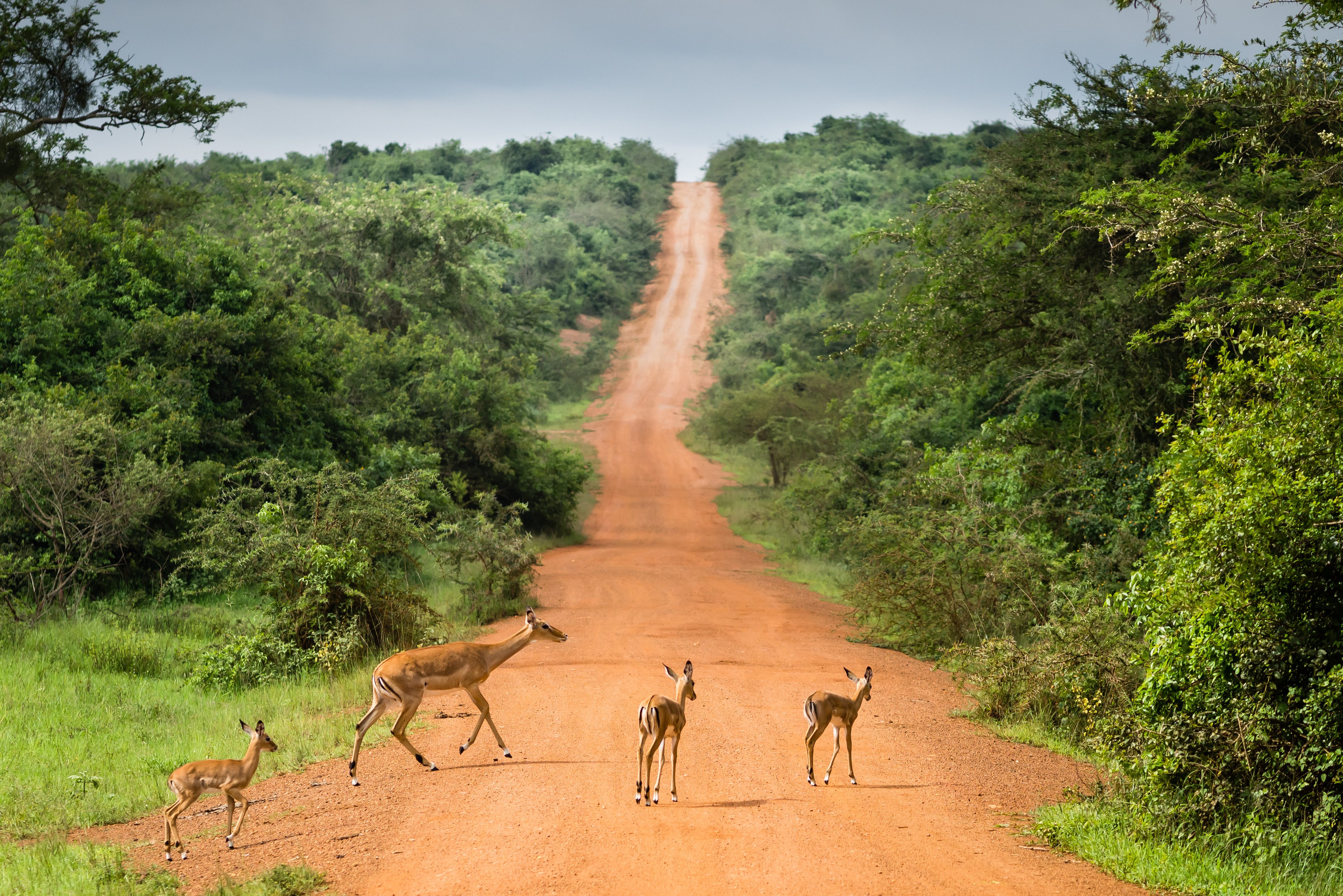 Lake Mburo in Uganda