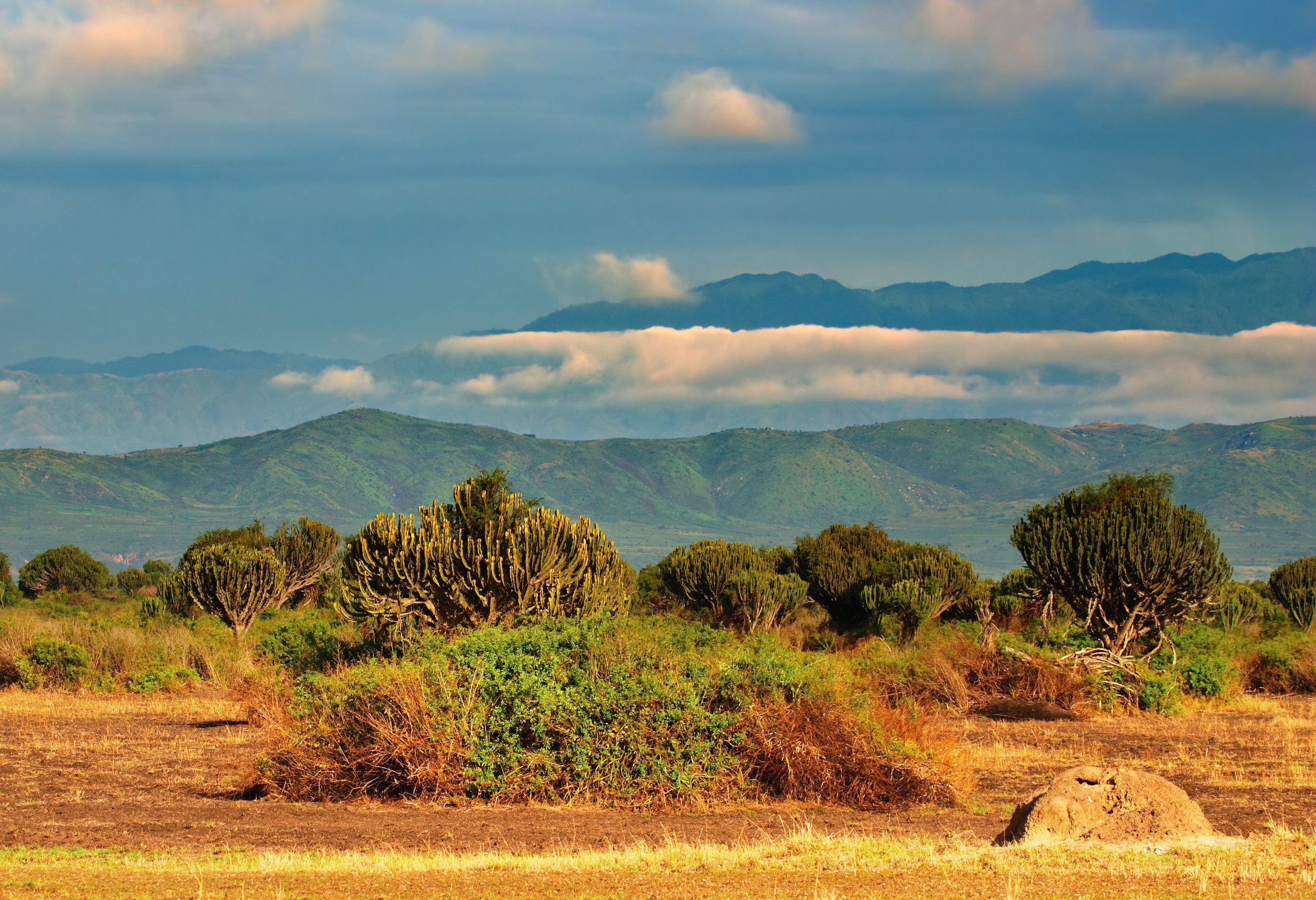 Queen Elizabeth National Park in Uganda