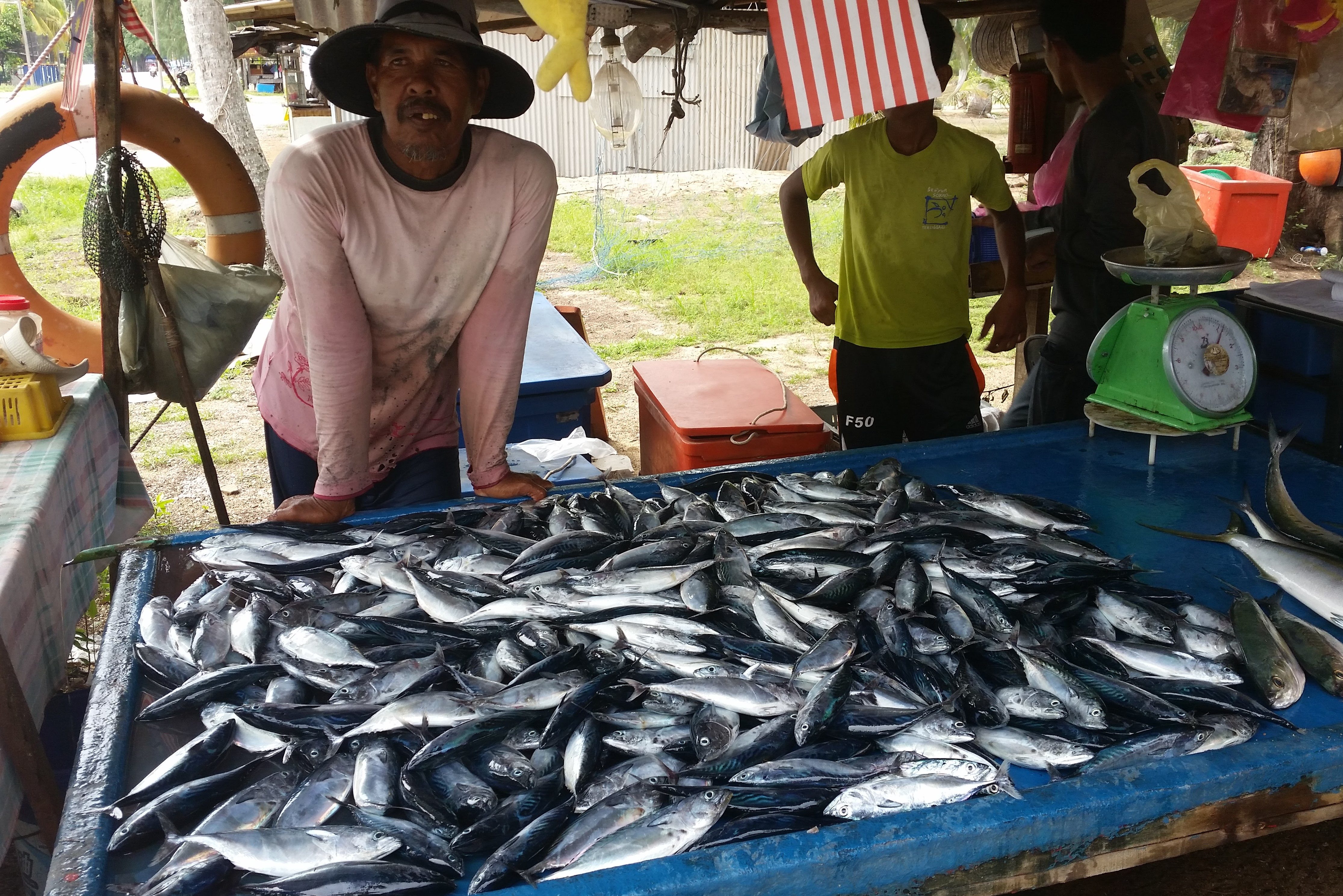 Vismarkt in Kuala Terengganu in West-Maleisie