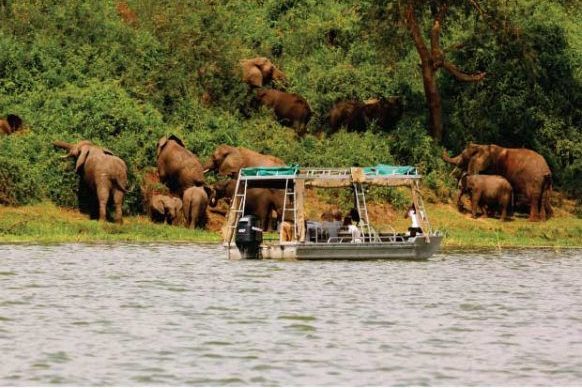 Boottocht Kazinga Channel
