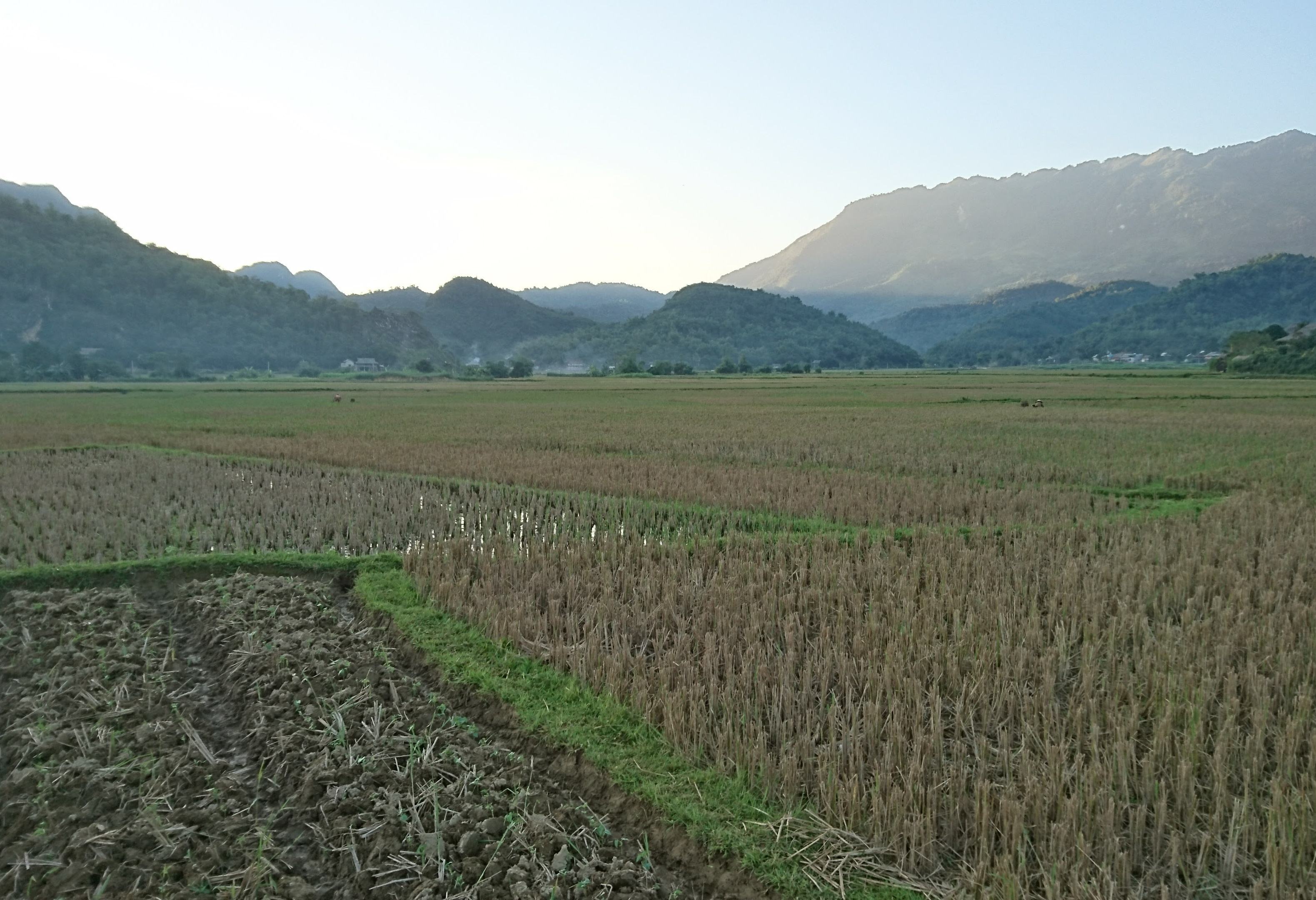 Landbouwgrond in de omgeving van Mai Chau in Vietnam