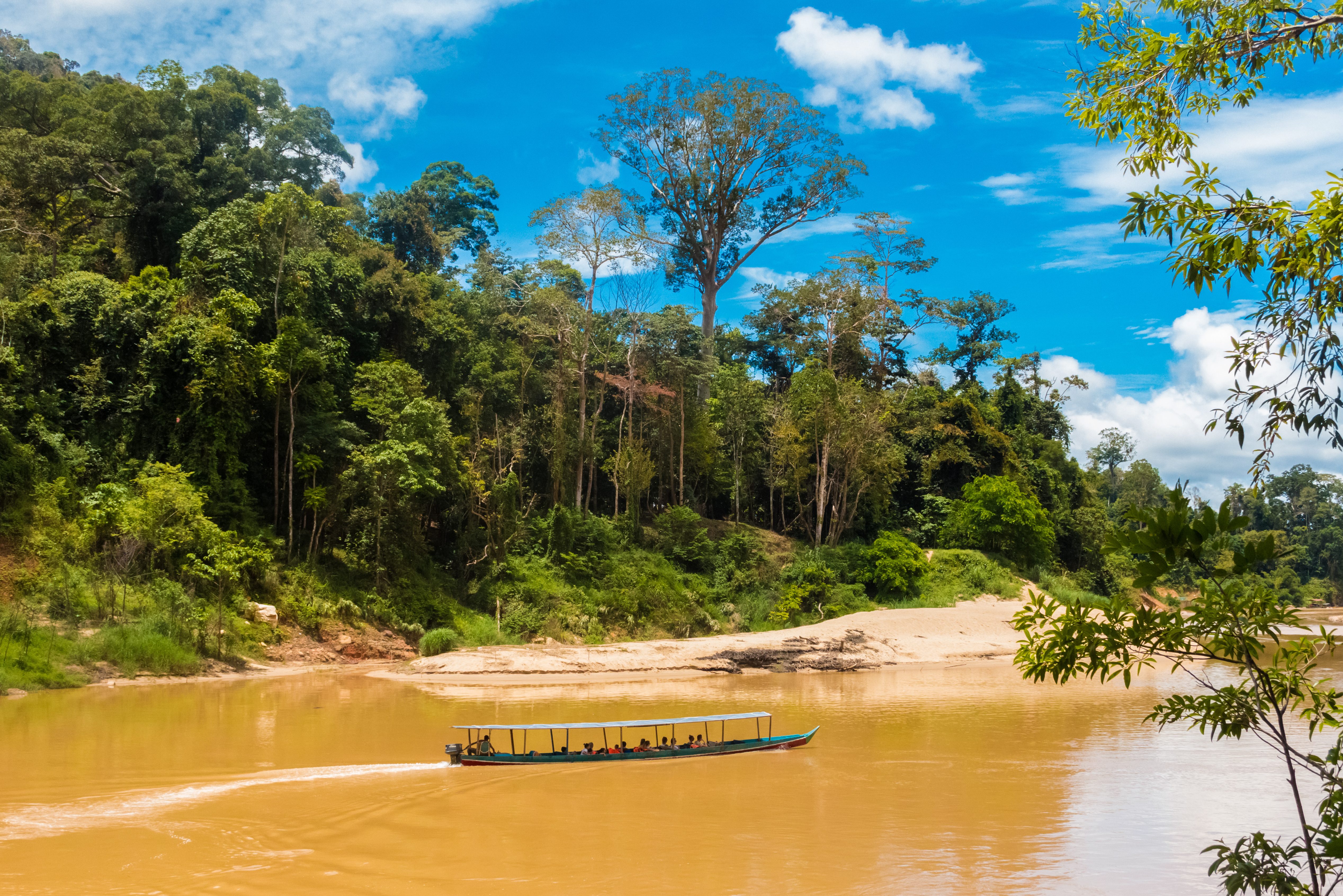 Transfer naar Mutiara Taman Negara Resort in West-Maleisie