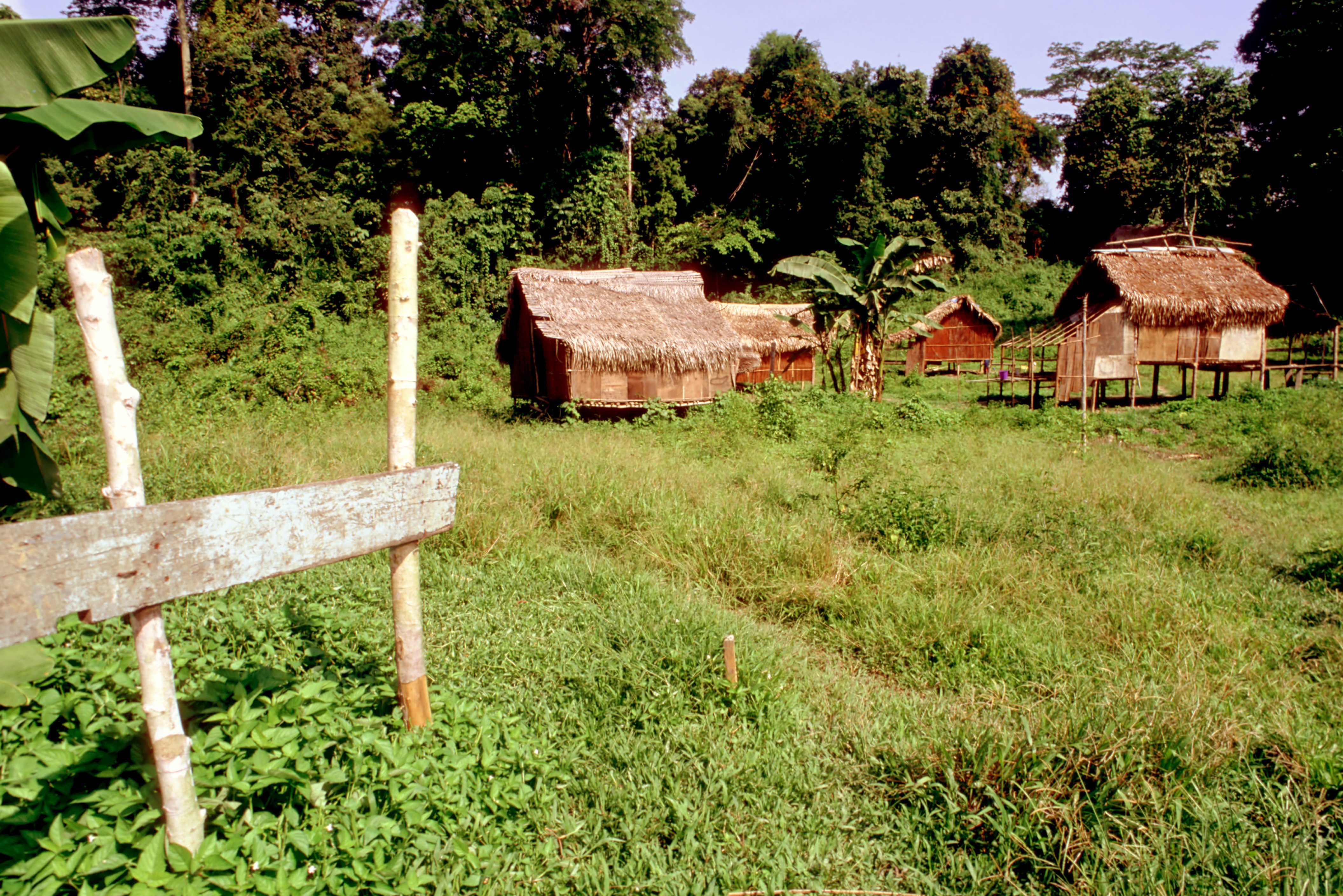 Dorpje van de inheemse orang asli bij Taman Negara in West-Maleisie