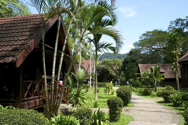 Mutiara Taman Negara chalets in West-Maleisie