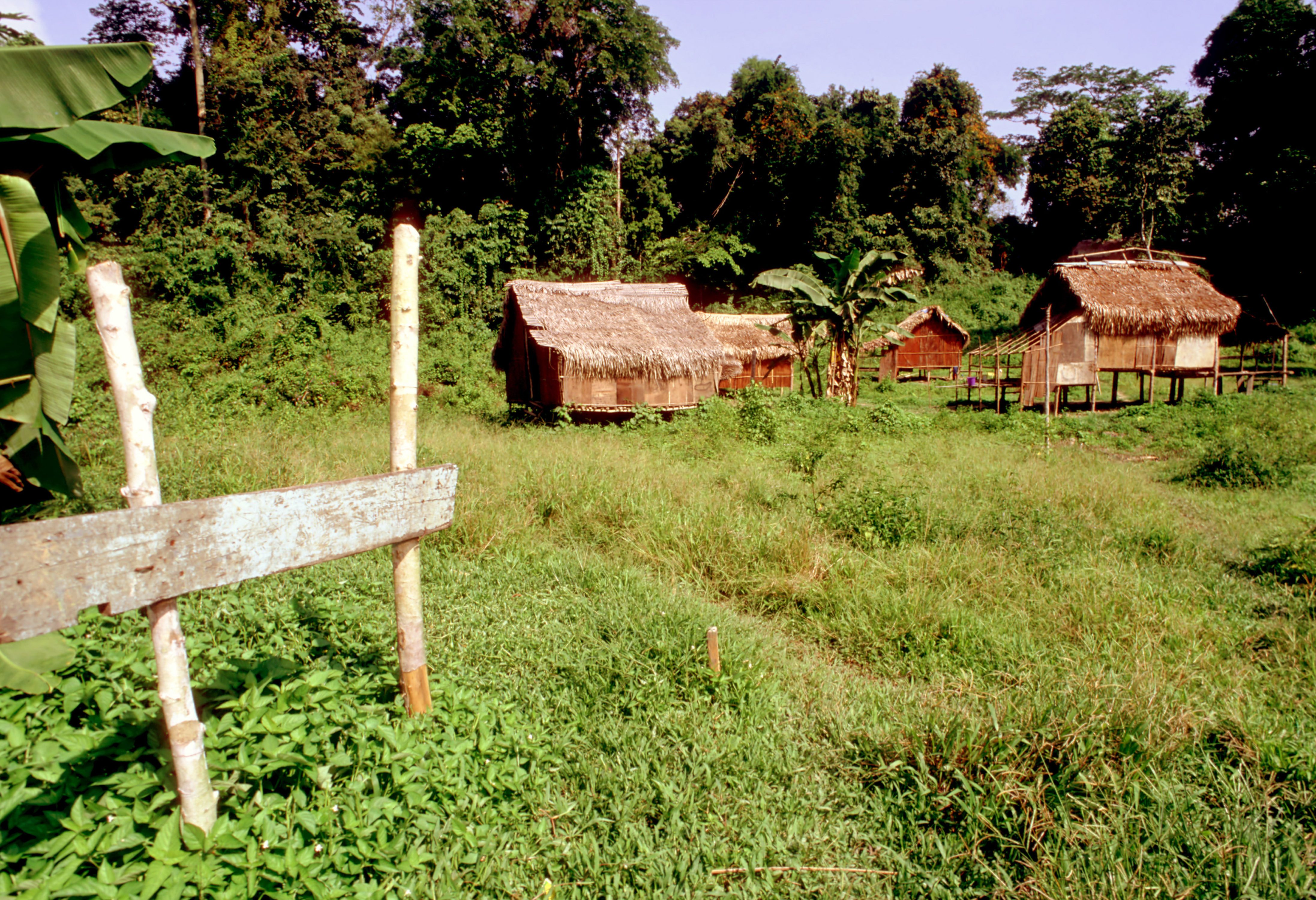 Huizen van de orang asli bij het Taman Negara National park in West-Maleisie