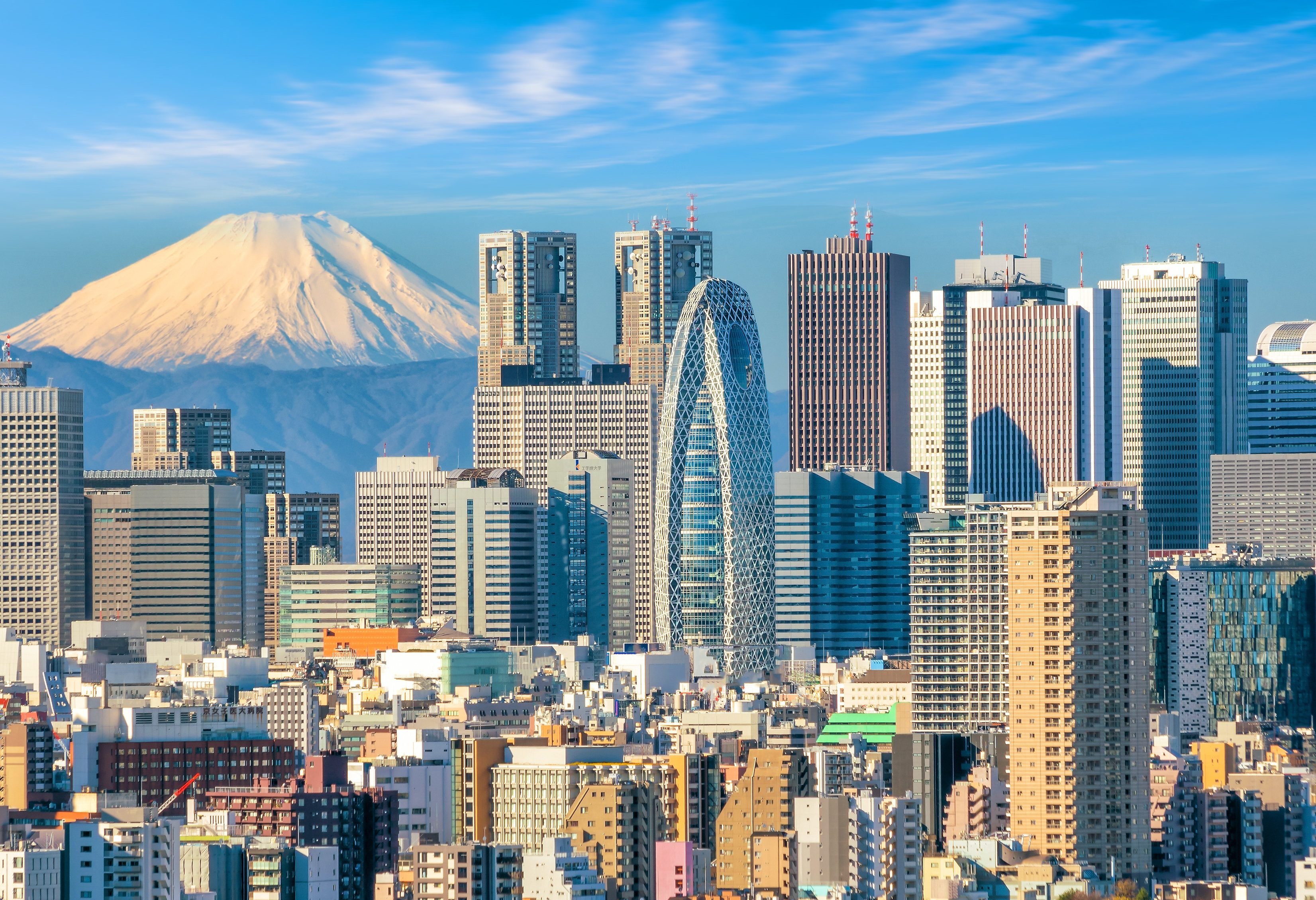Japan Tokyo Skyline