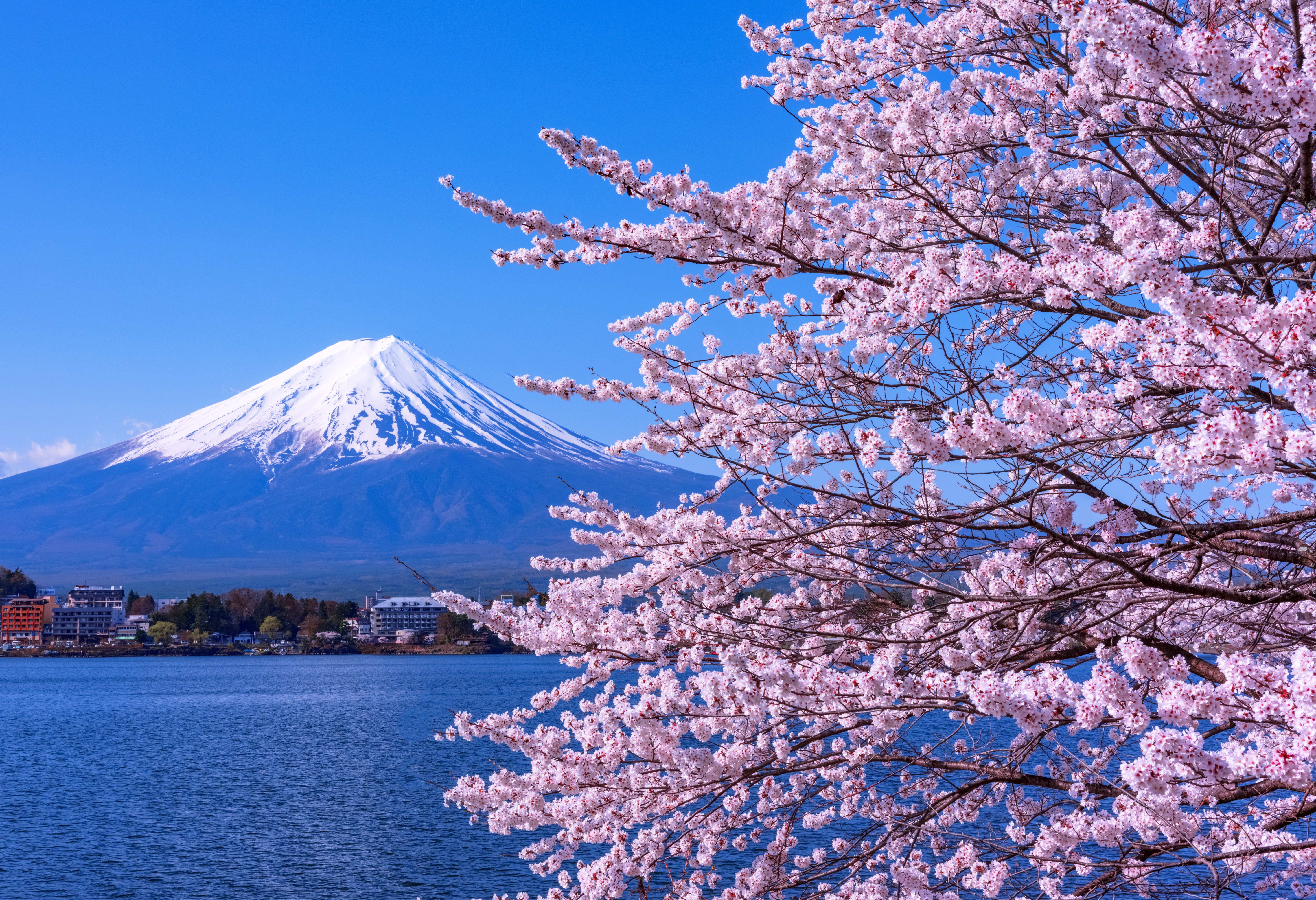 Japan Lake Kawaguchi