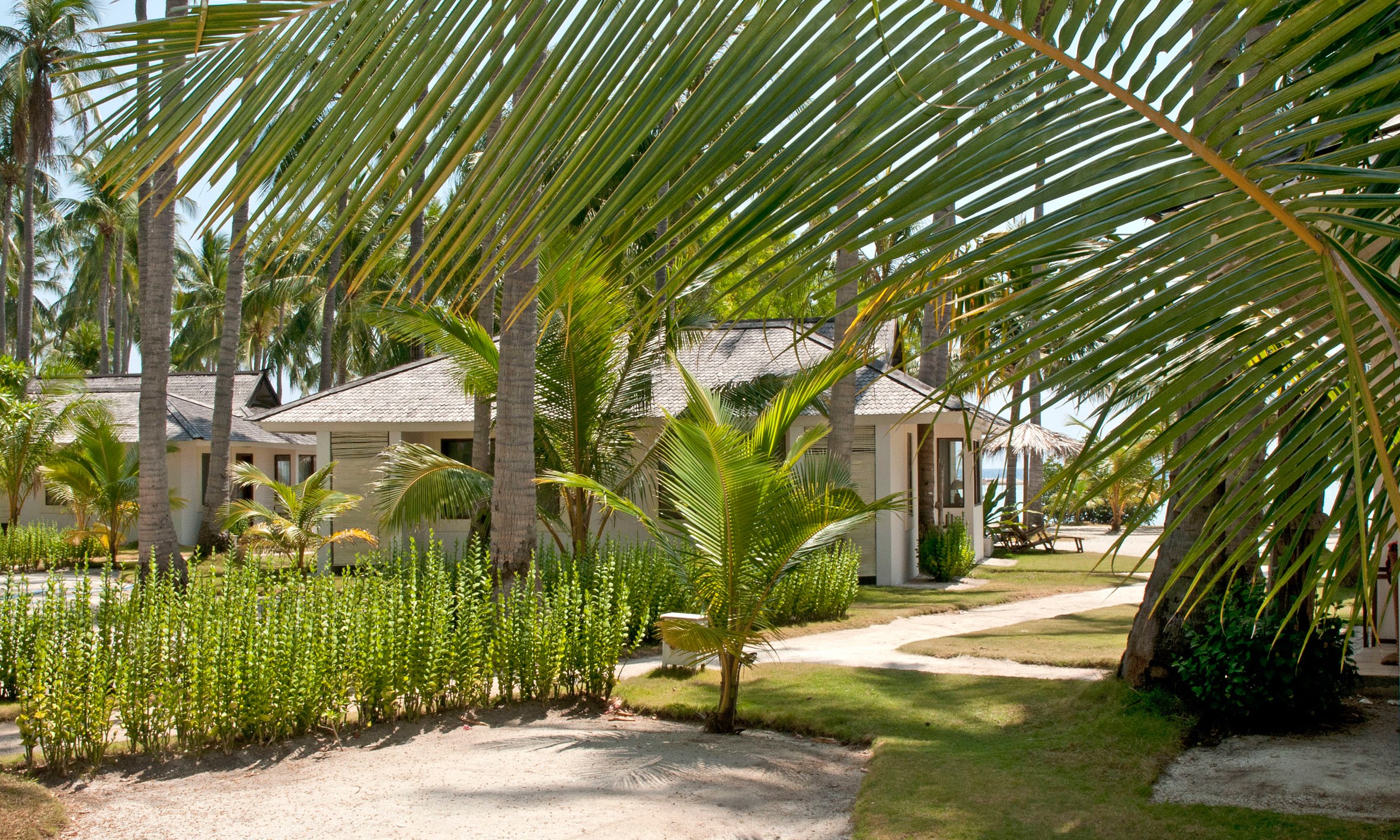 Kura Kura Resort