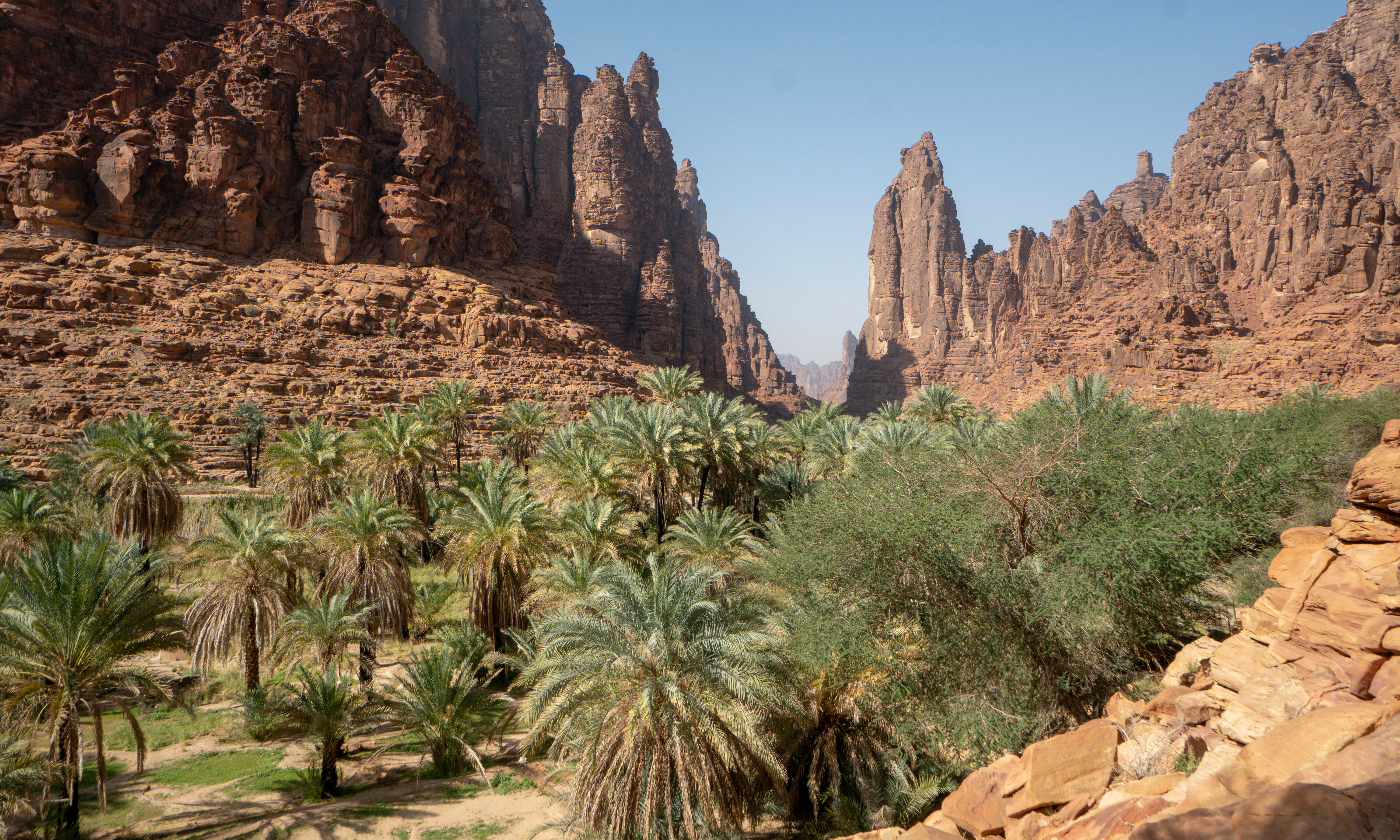 Wadi Disah Saoedi-Arabië