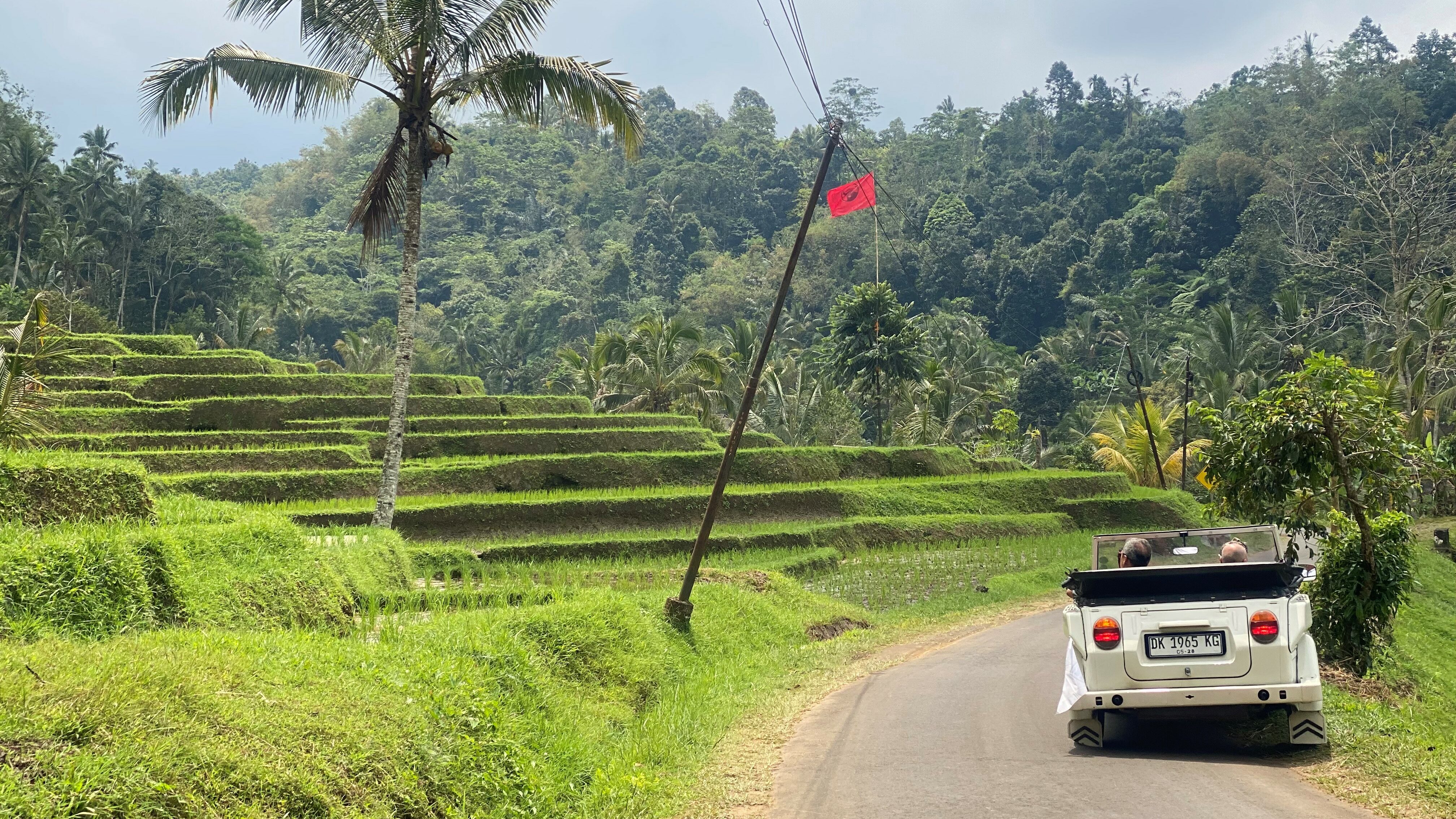 Indonesie-Bali-Tempels-en-rijstvelden-per-VW-Safari-Jatiluwih-rijstvelden-1