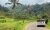 Indonesie-Bali-Tempels-en-rijstvelden-per-VW-Safari-Jatiluwih-rijstvelden-1