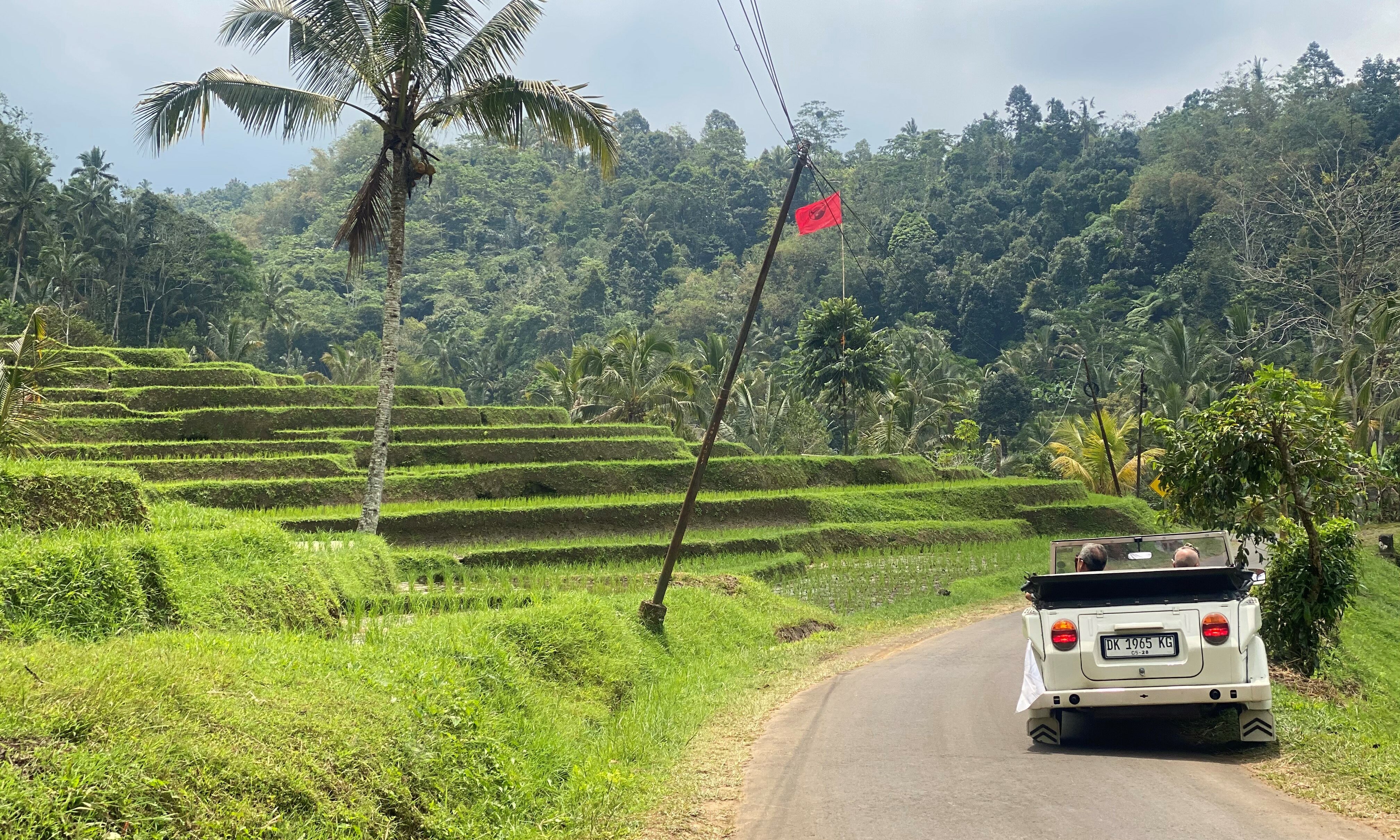 Indonesie-Bali-Tempels-en-rijstvelden-per-VW-Safari-Jatiluwih-rijstvelden-1