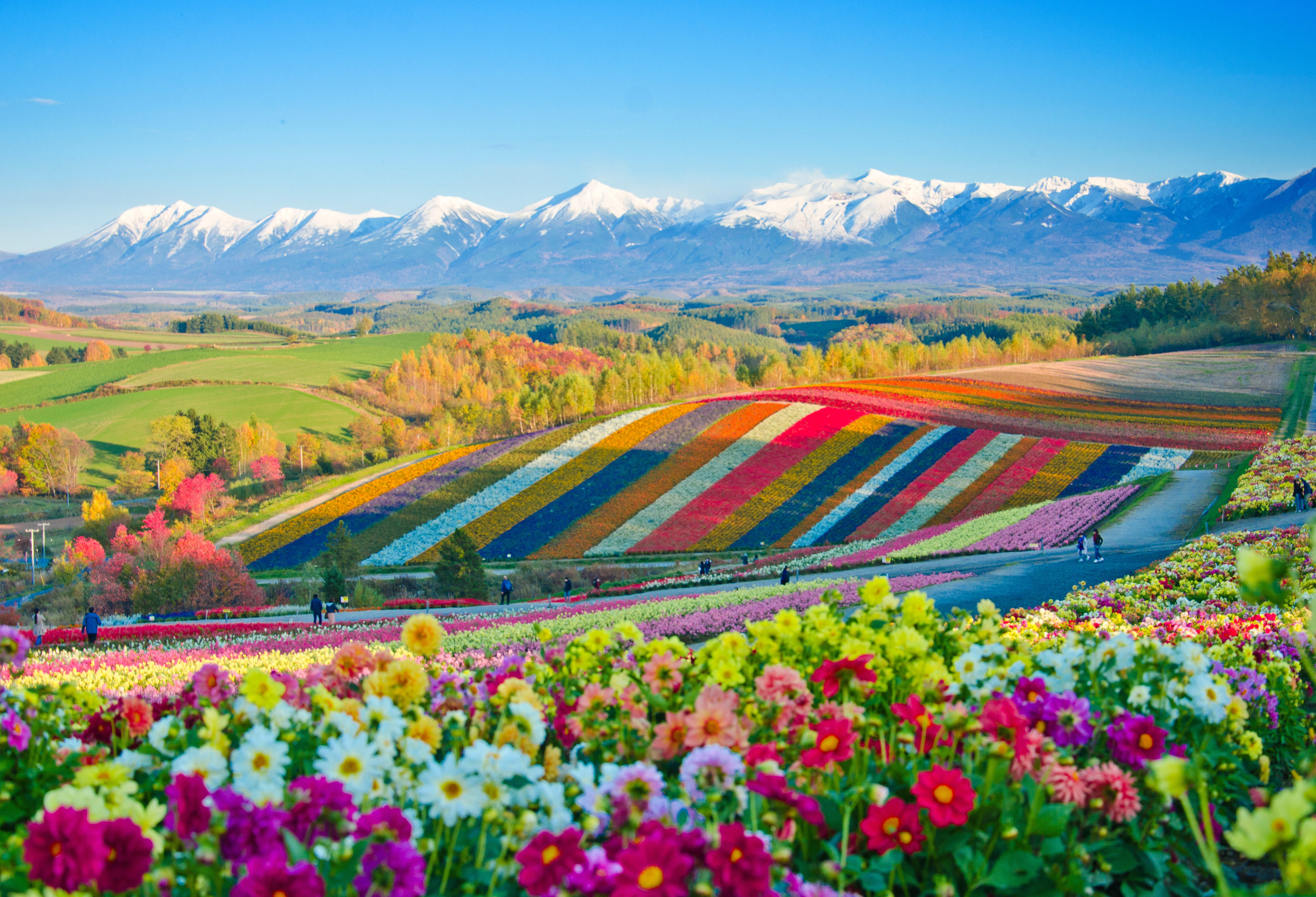 Hokkaido Japan rondreis