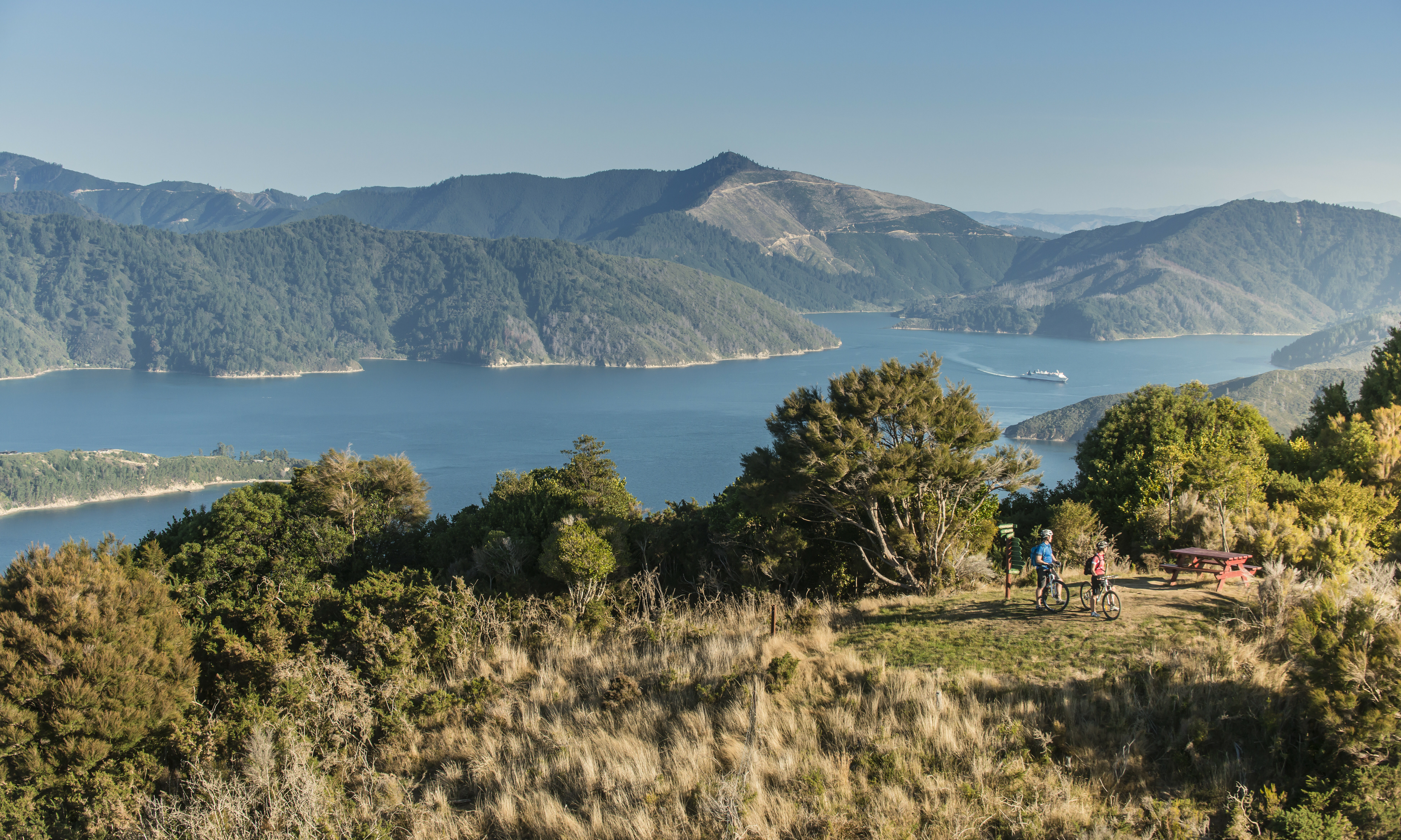 Marlborough Sounds Nieuw Zeeland