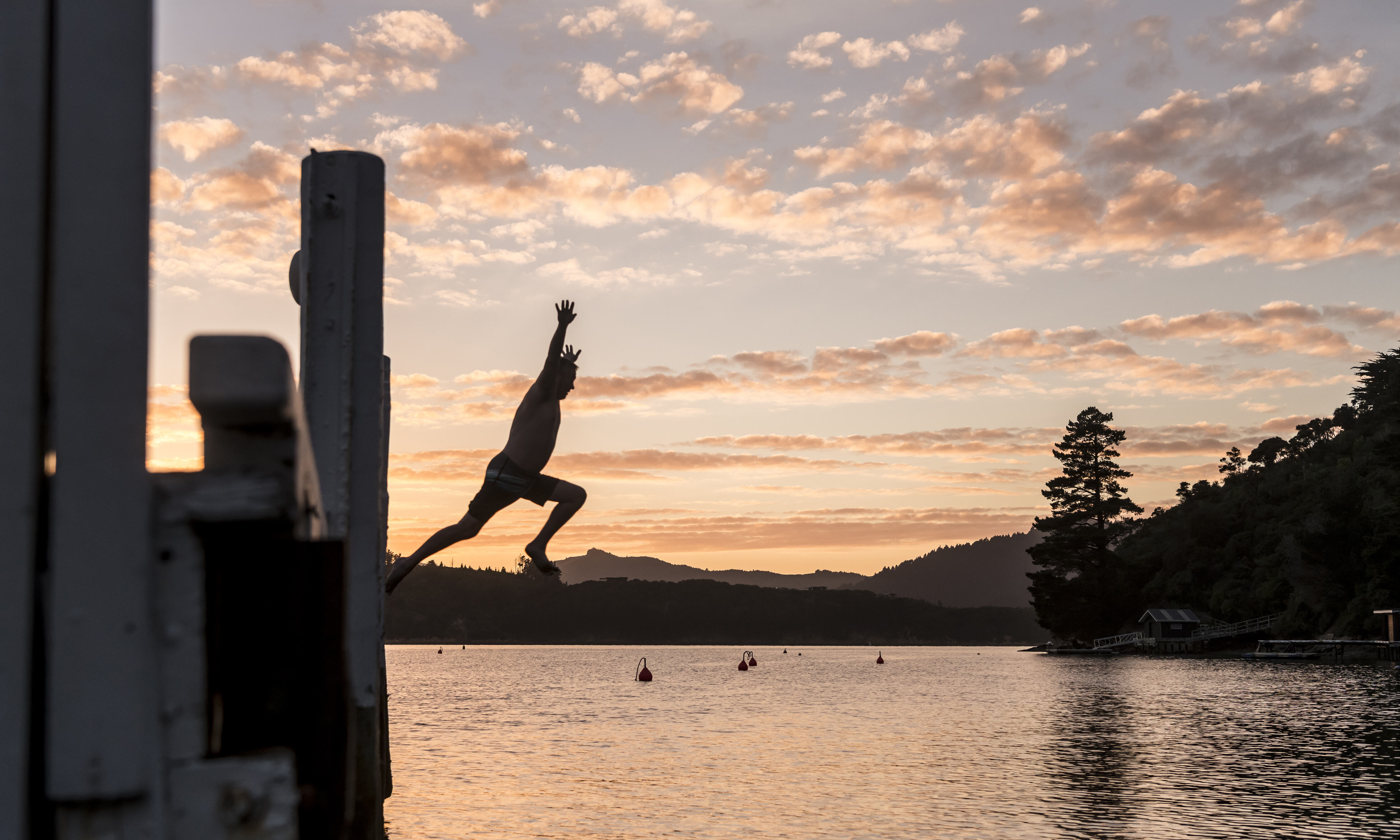 Marlborough Sounds Nieuw Zeeland