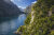 Milford Sound Nieuw Zeeland