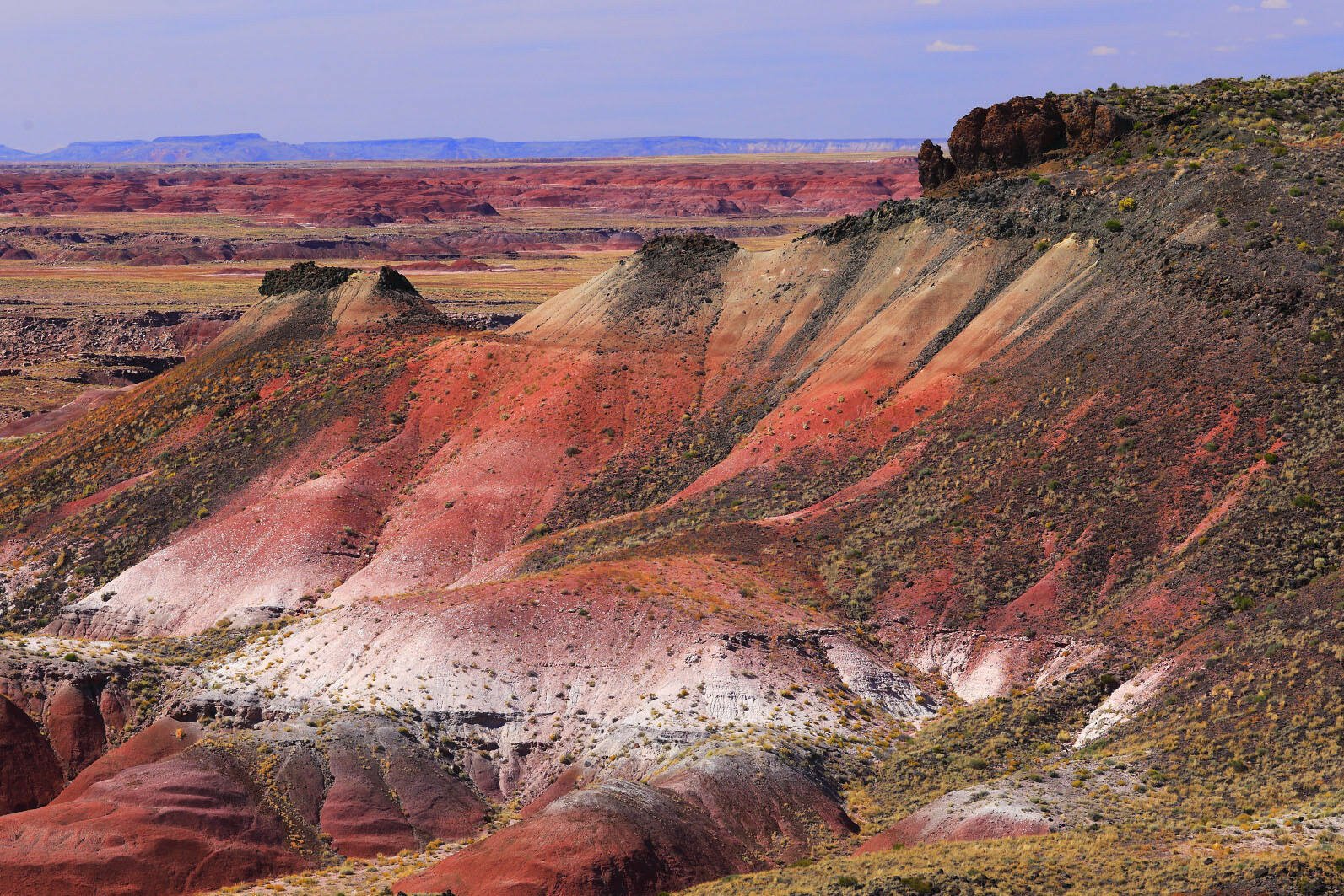 Amerika Petrified Forest National Park