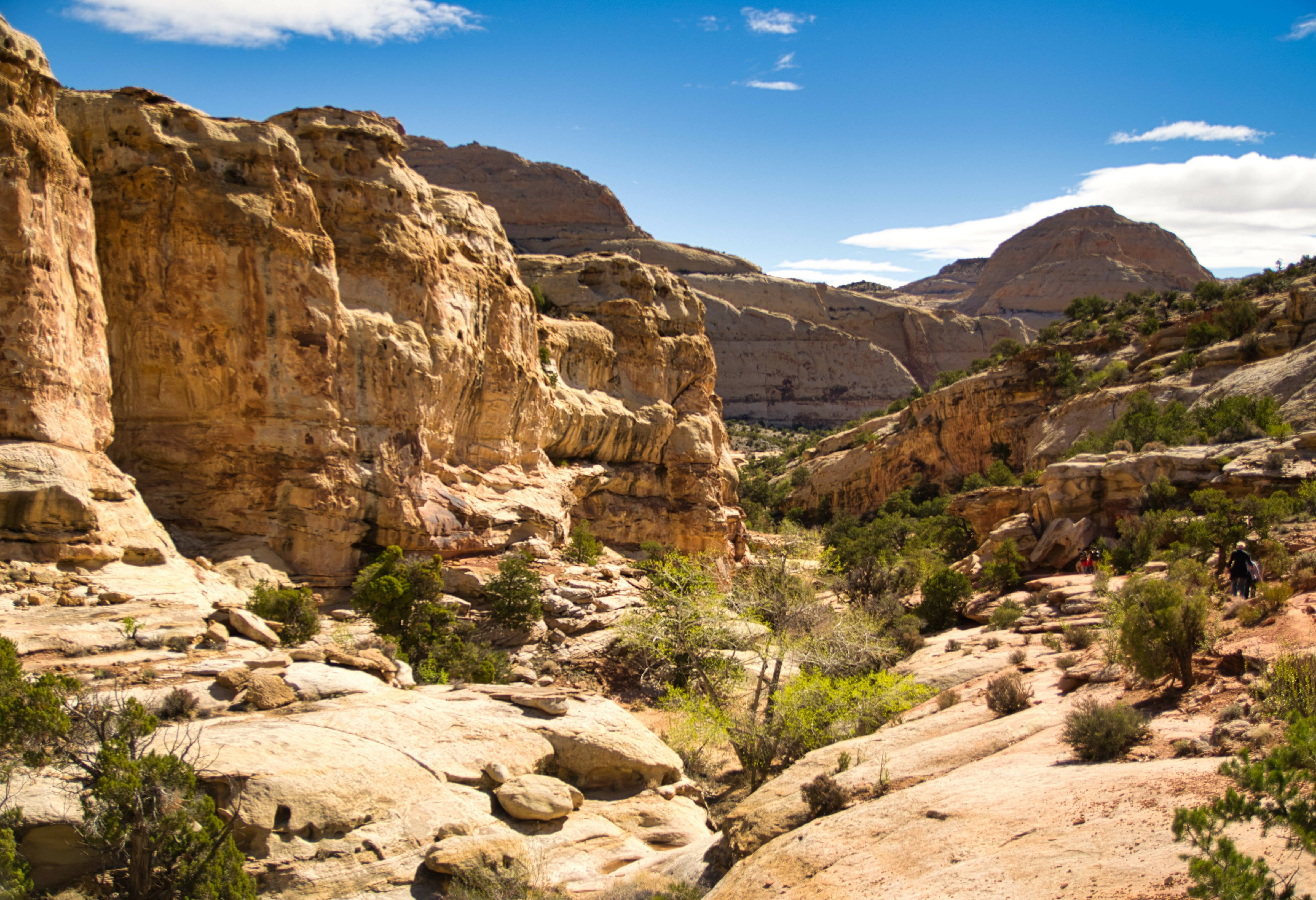 Amerika Capitol Reef National Park