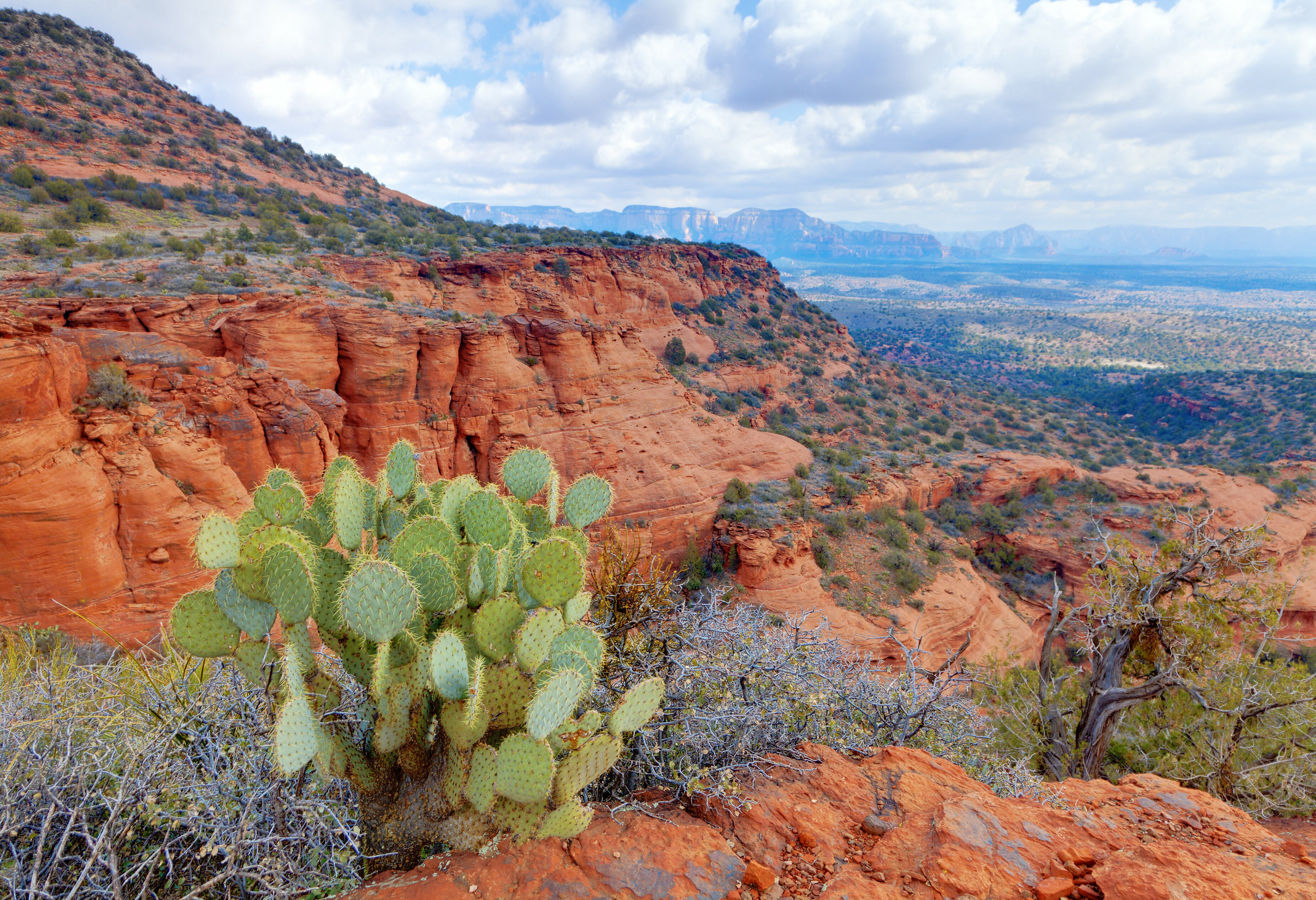 Amerika Sedona Red Rock