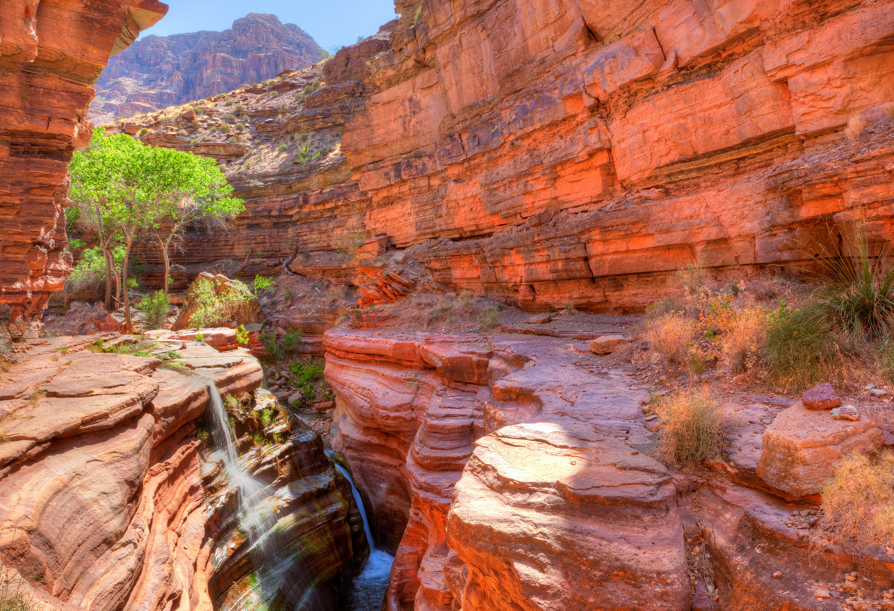 Amerika Grand Canyon