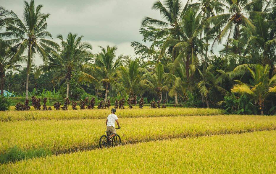 E-biking Canggu