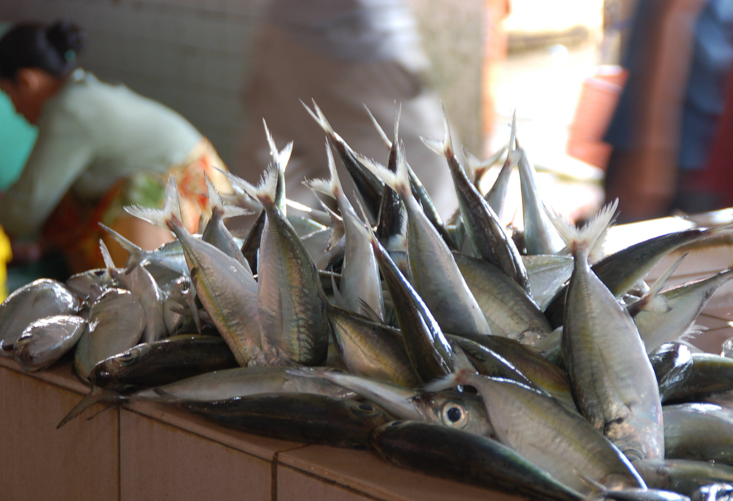 Vismarkt in Kota Kinabalu