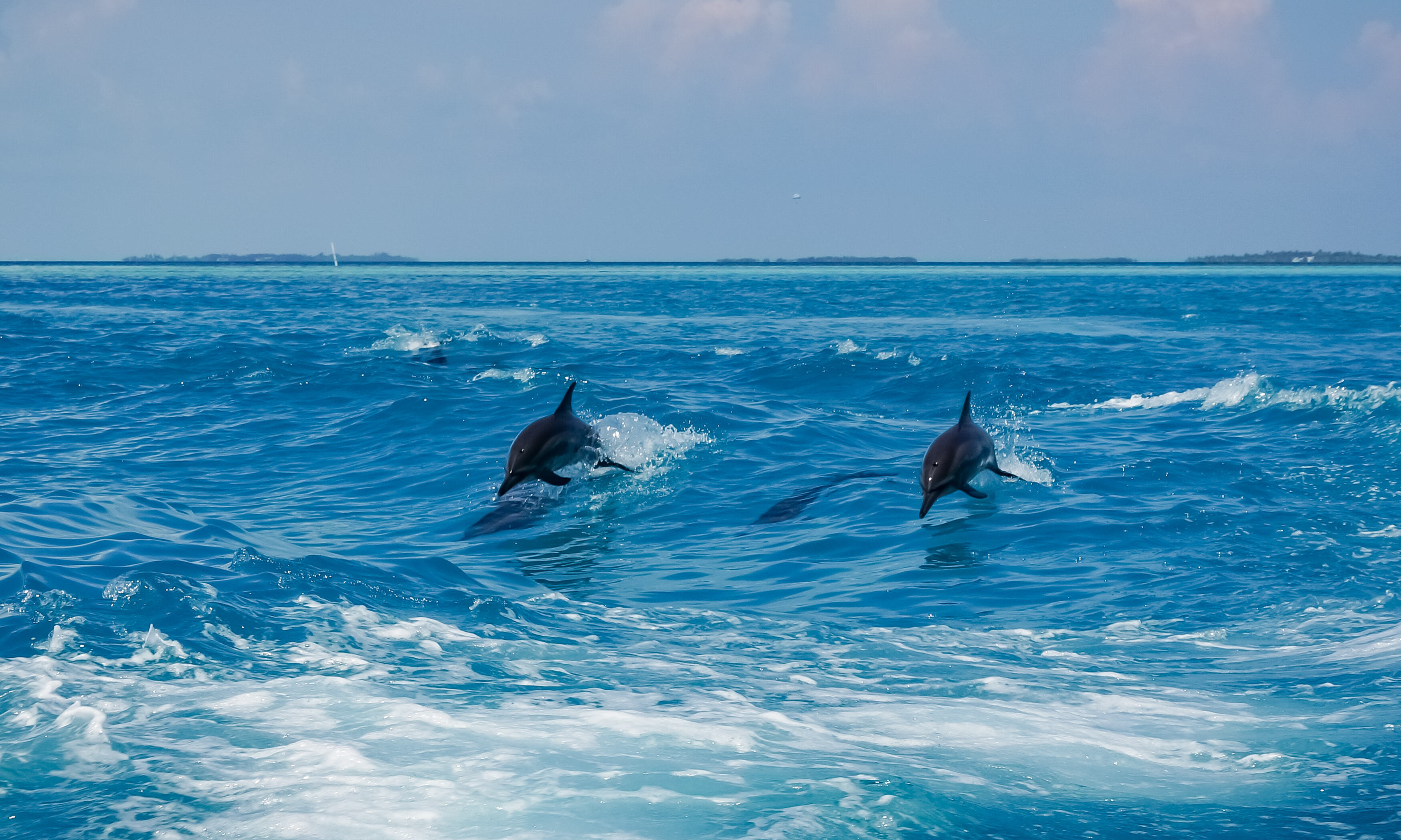 Malediven snorkelen en duiken