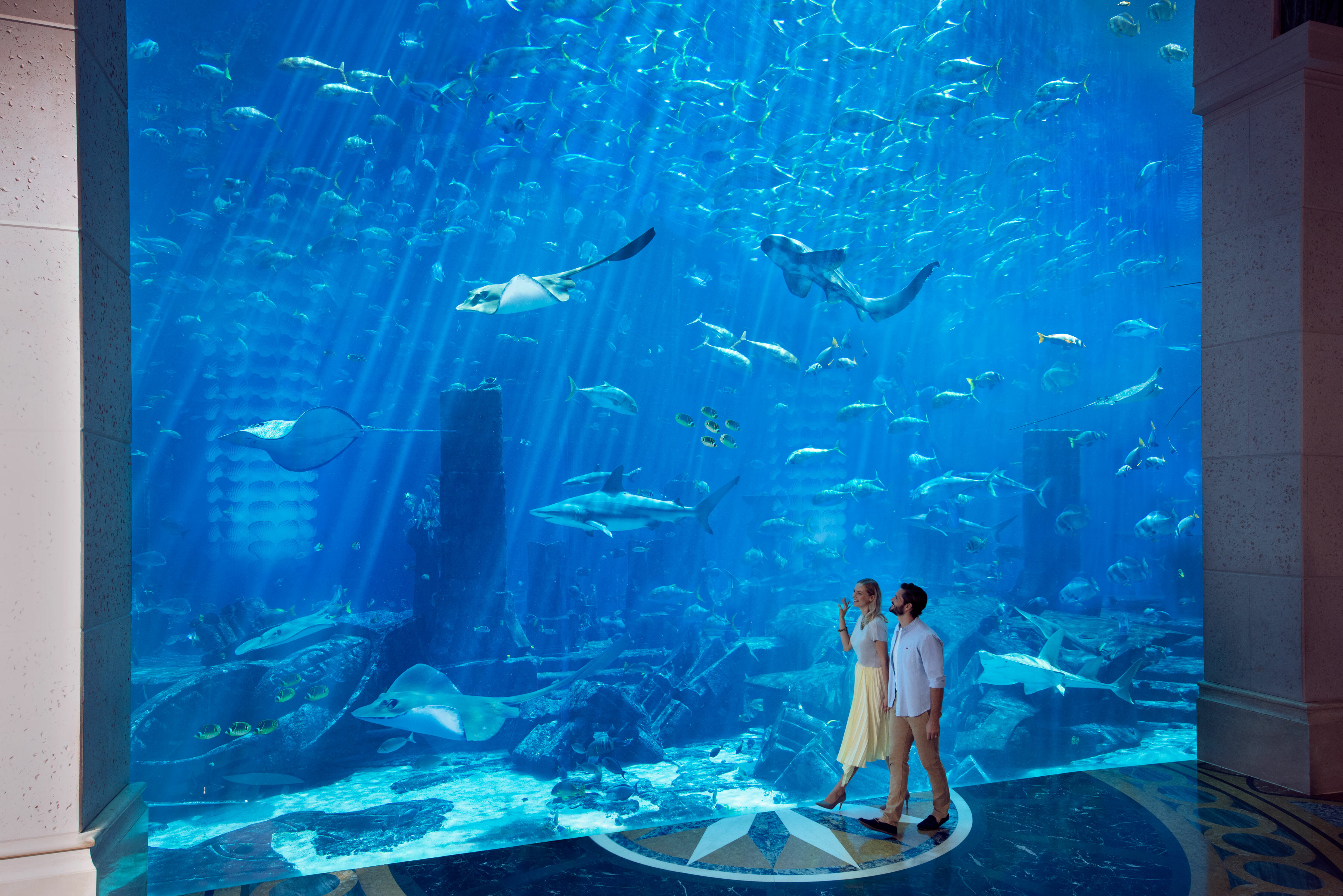 Dubai Emirates Atlantis the Palm Aquarium