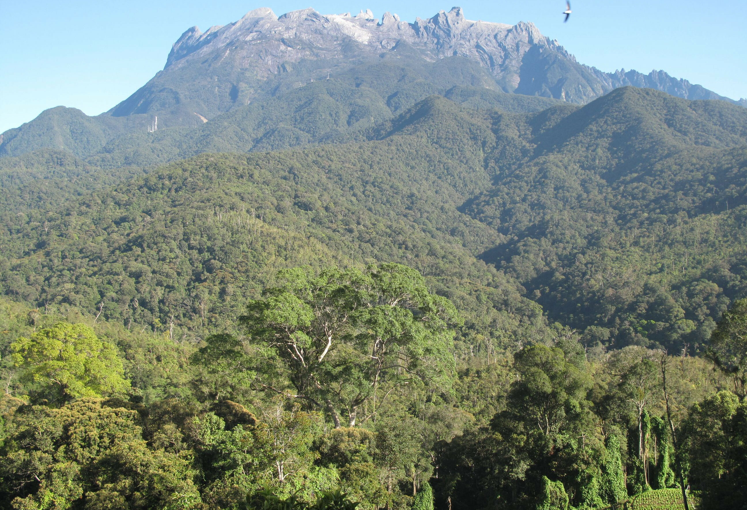 Mount Kinabalu National Park
