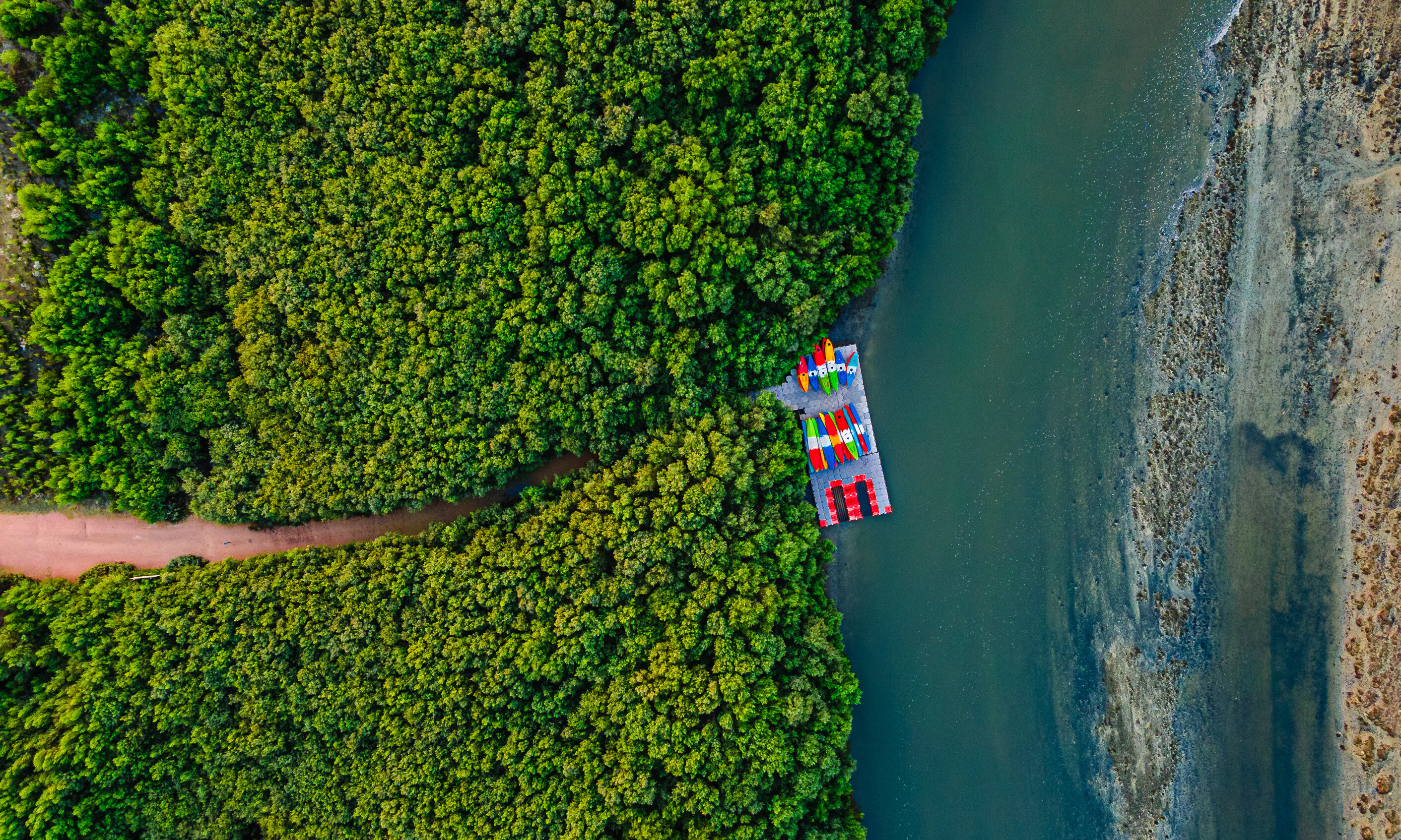 Kayakken in de Mangrove Ajman Arabische Emiraten