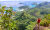 Morne Seychellois National Park hiking