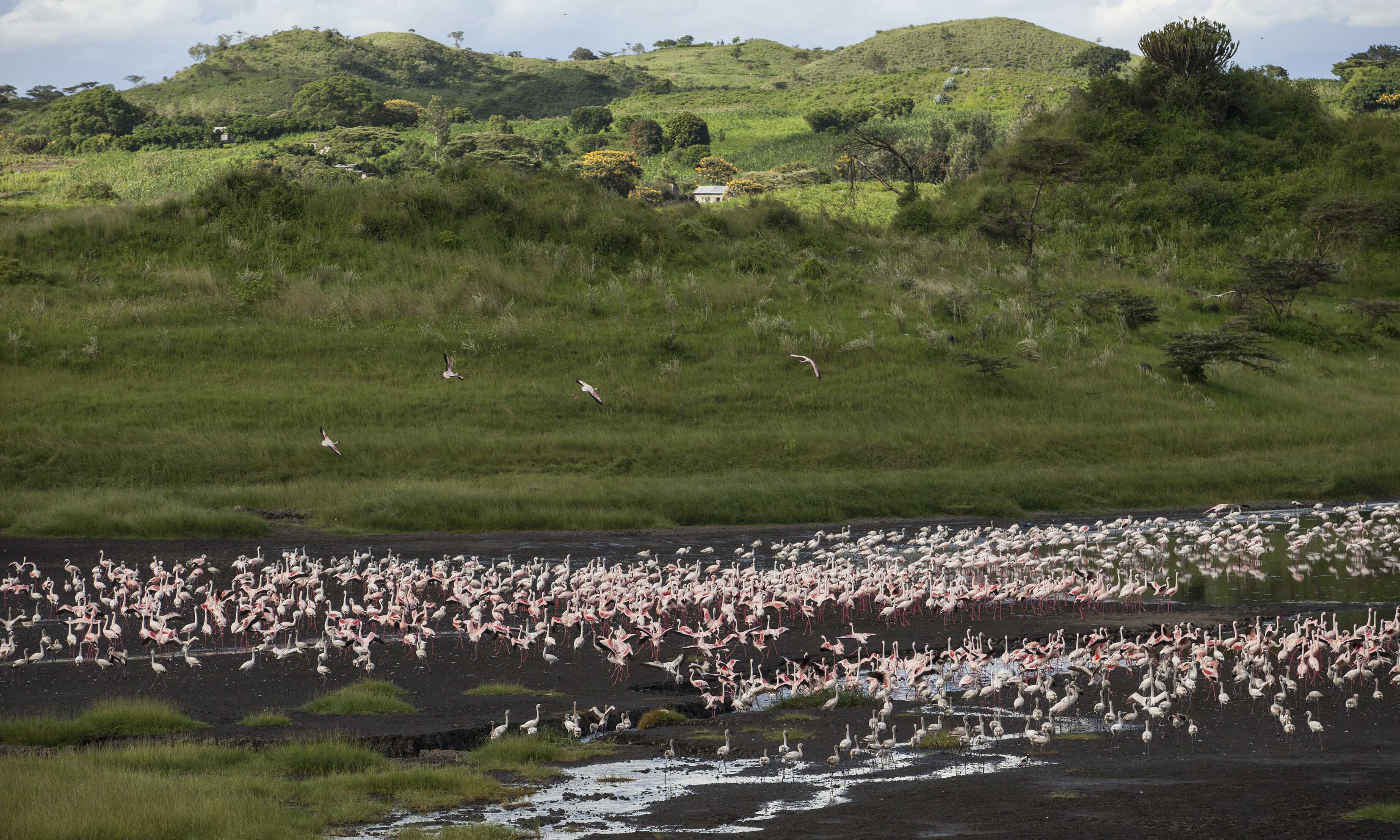 Arusha National Park Tanzania