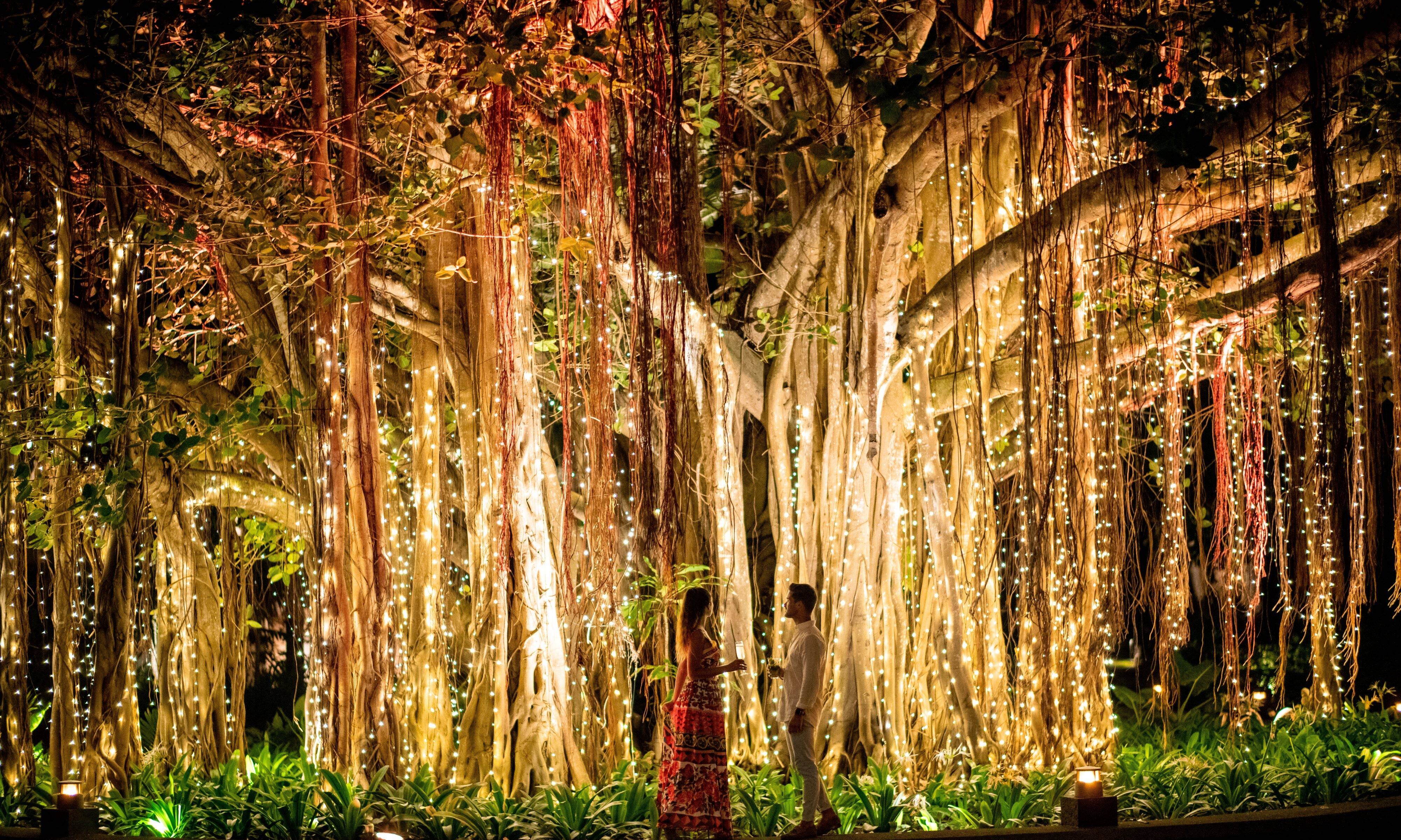 Mauritius-Shangri-La-Le-Touessrok-Banyan-Tree-Romantisch