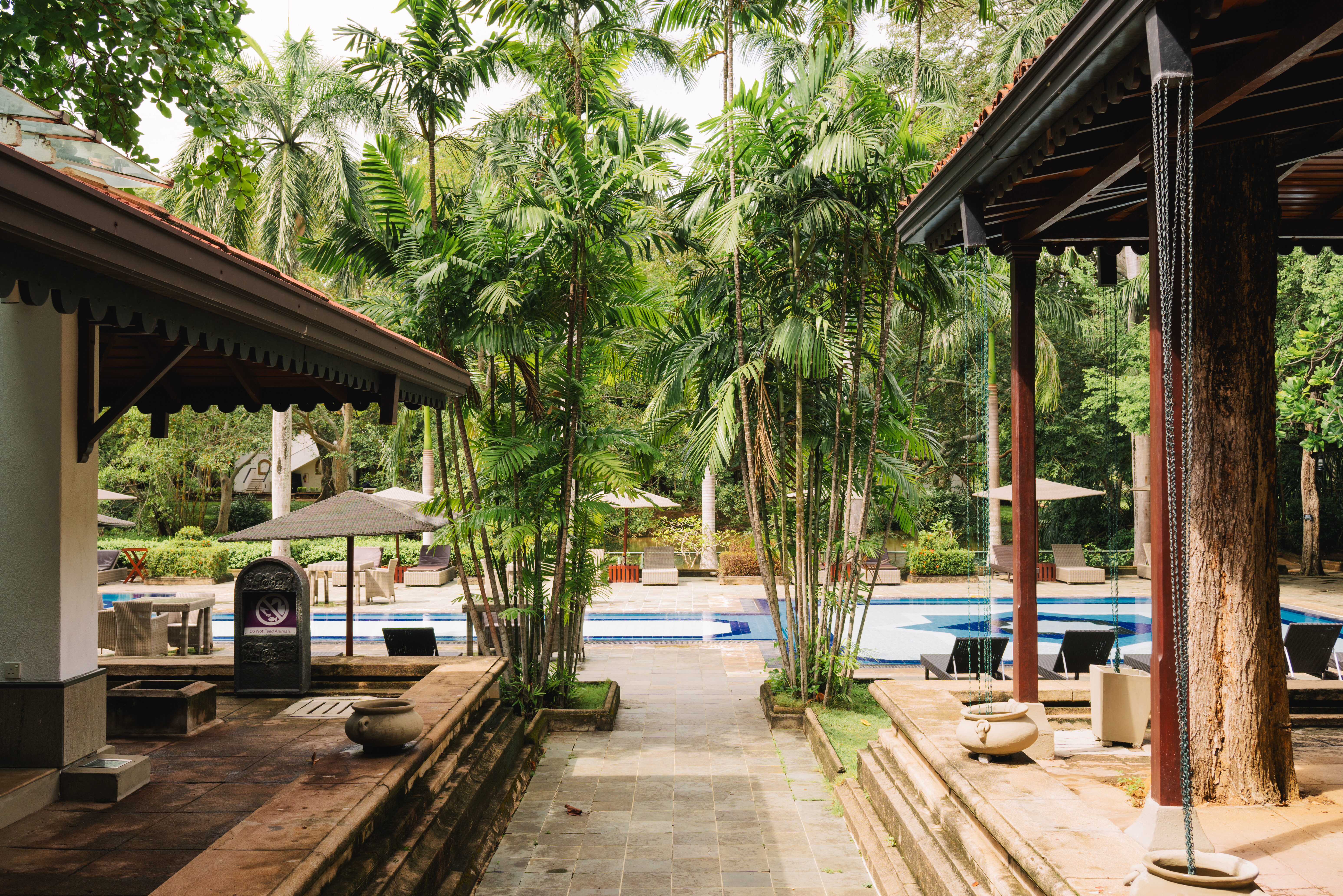 Sri Lanka Habarana Cinnamon Lodge Zwembad