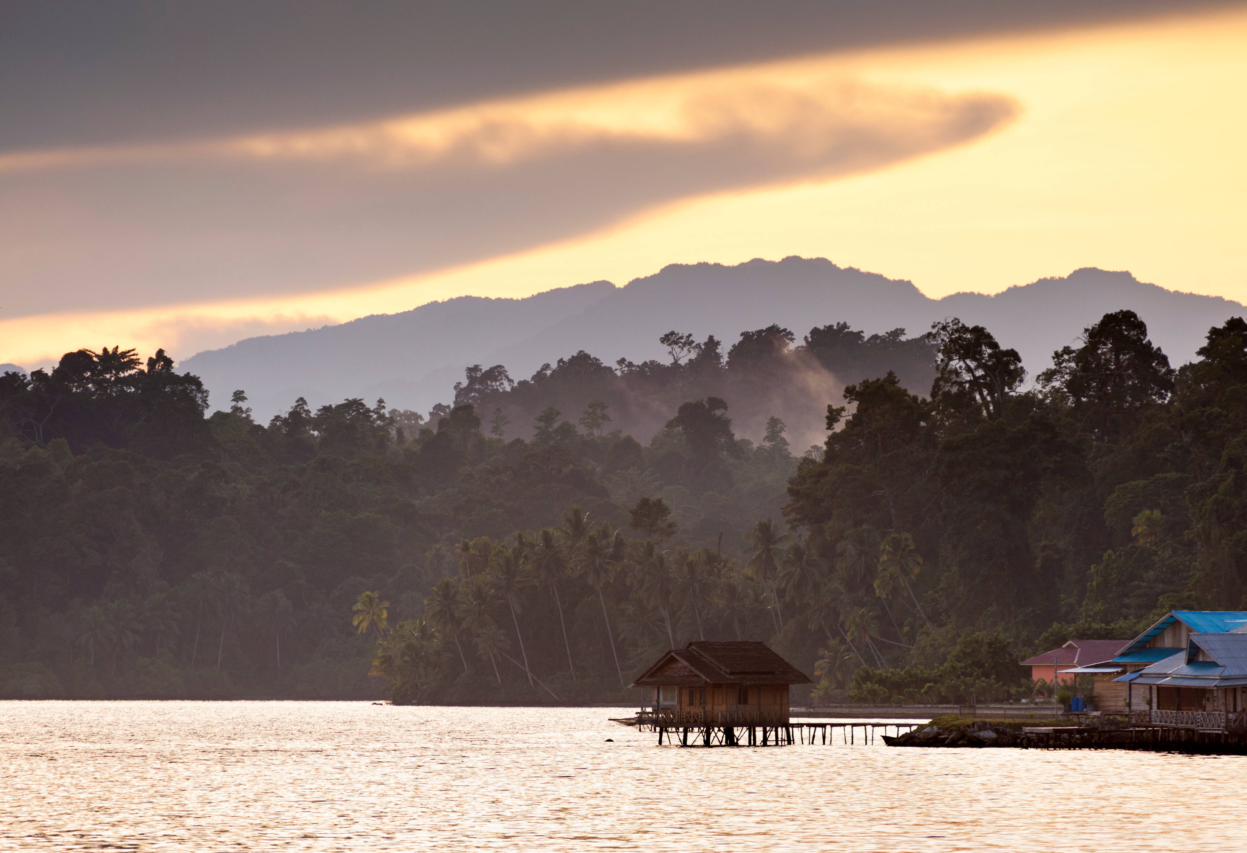 Weelderig landschap op Seram in de Molukken in Indonesie