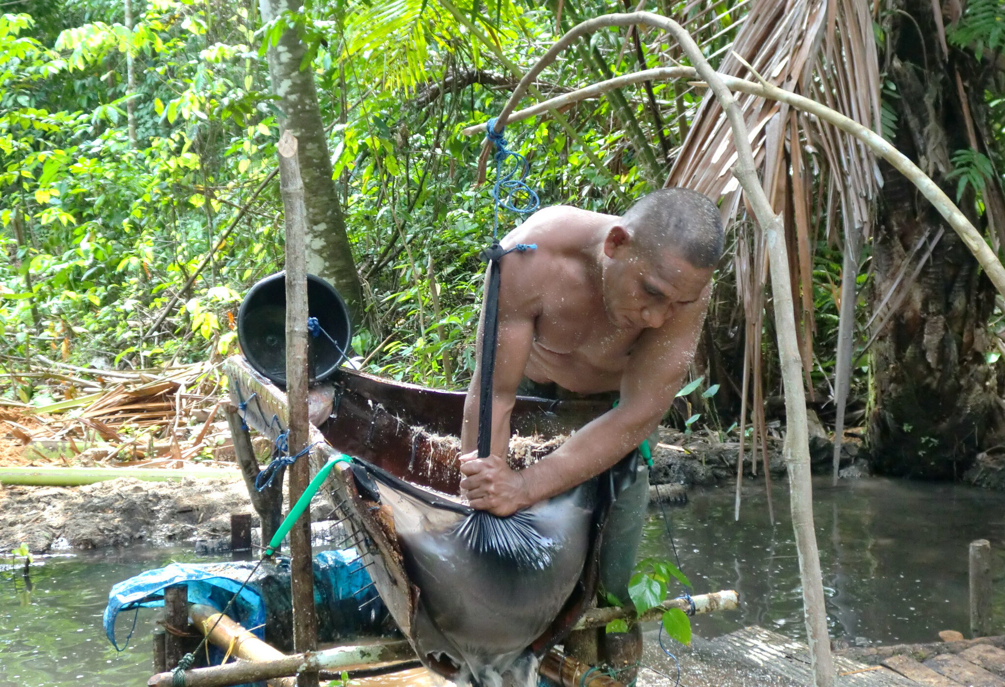 Sago maken op Saparua in de Molukken in Indonesie
