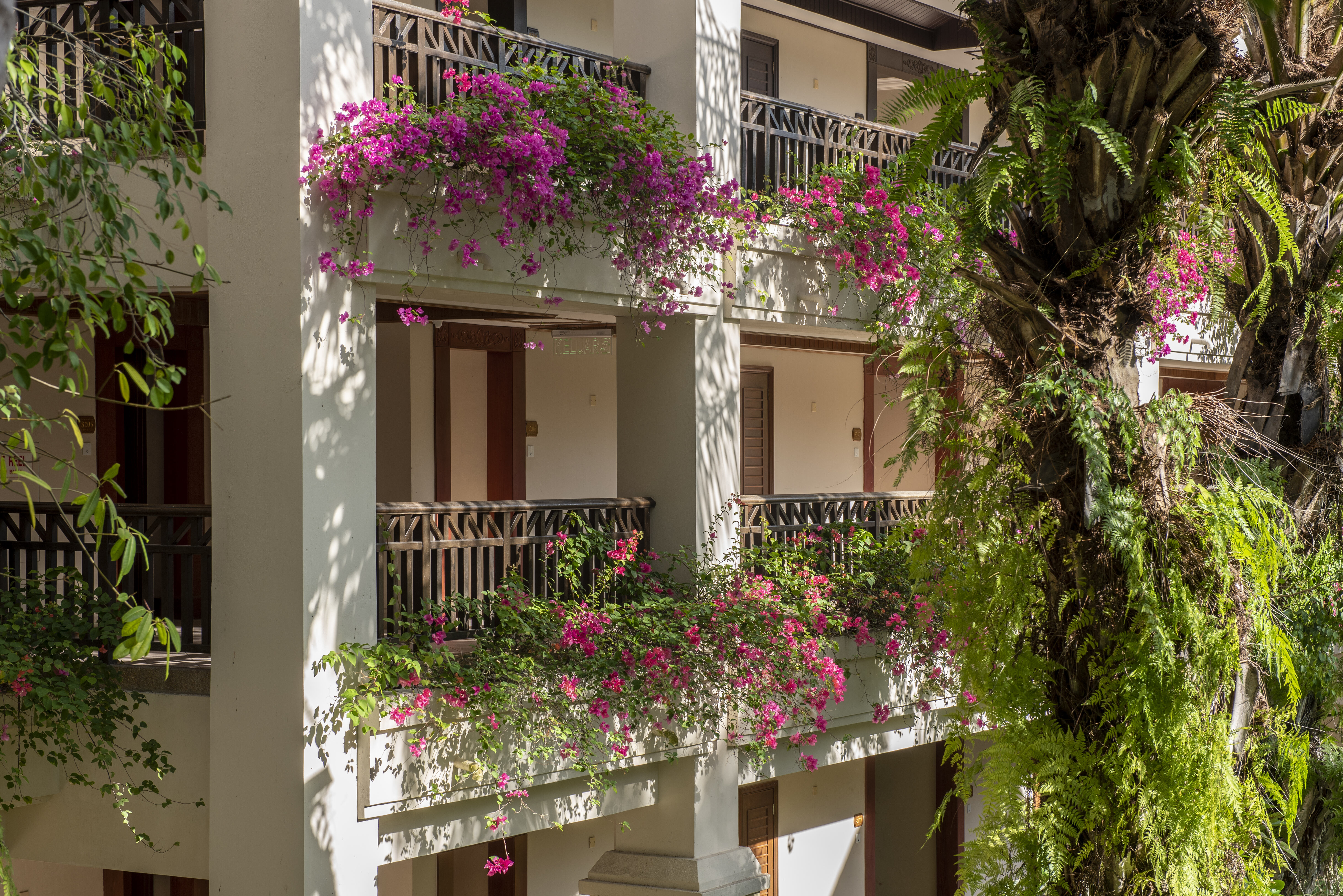 Maleisie Kota Kinabalu Nexus Resort Karambunai Borneo Omgeving