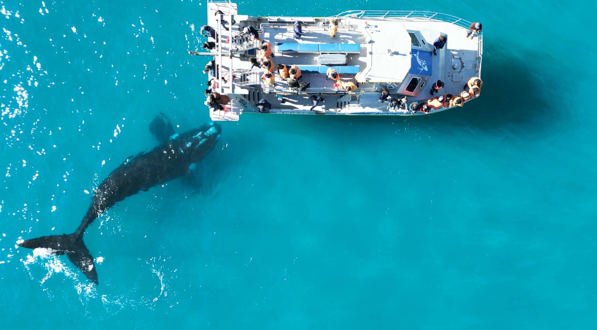 Marine Dynamics Zuid-Afrika