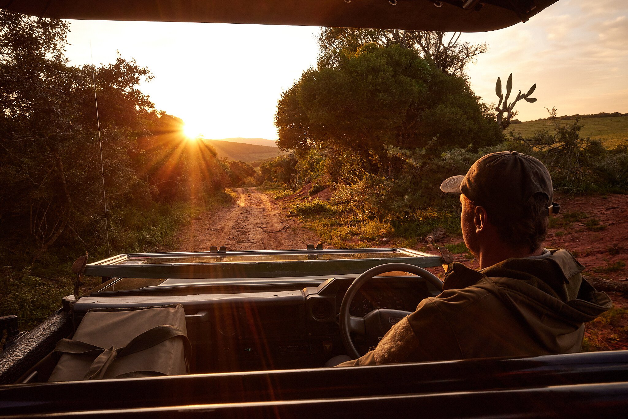 Addo Elephant NP Zuid-Afrika