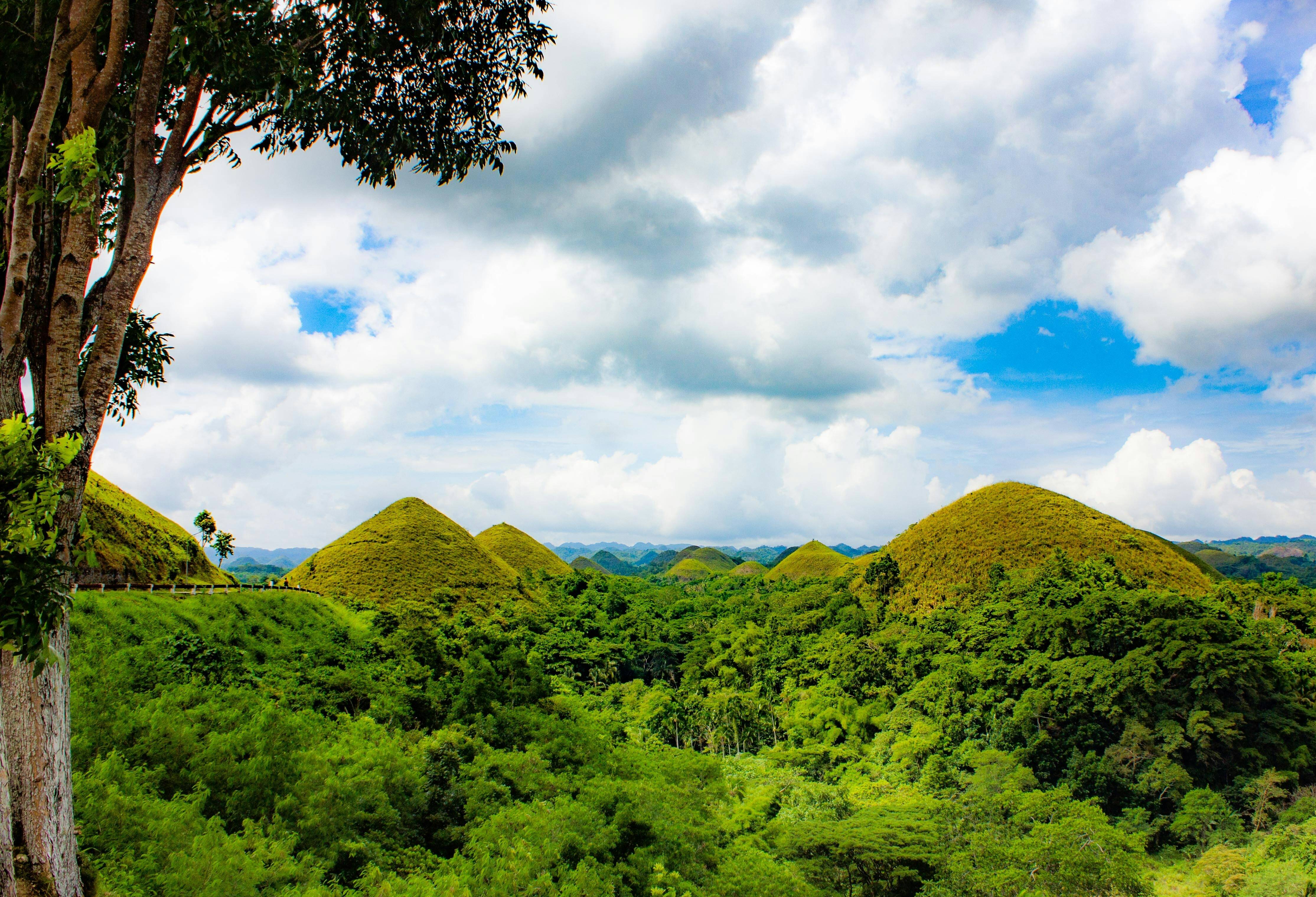 Chocolate Hills op Bohol