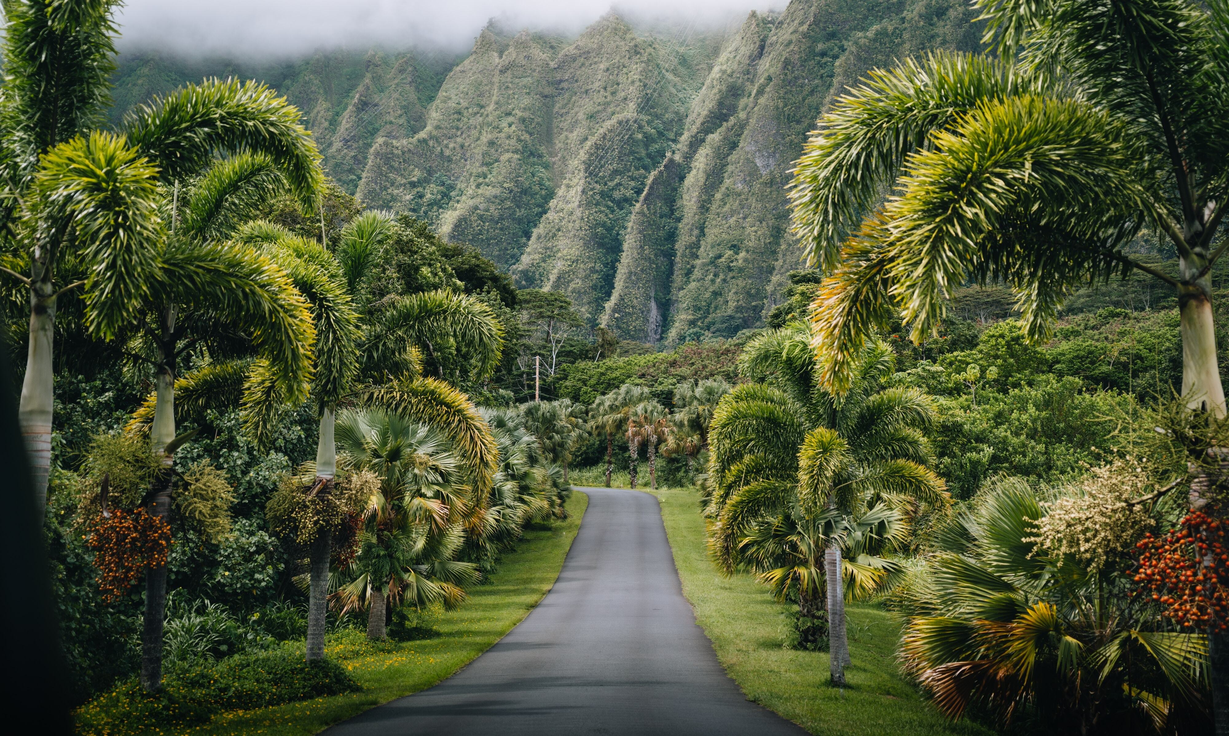 Botanical garden