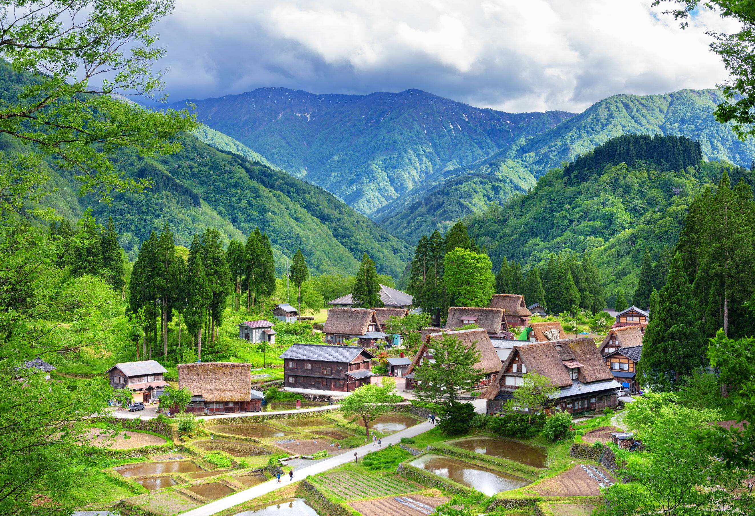 Japan Shirakawago