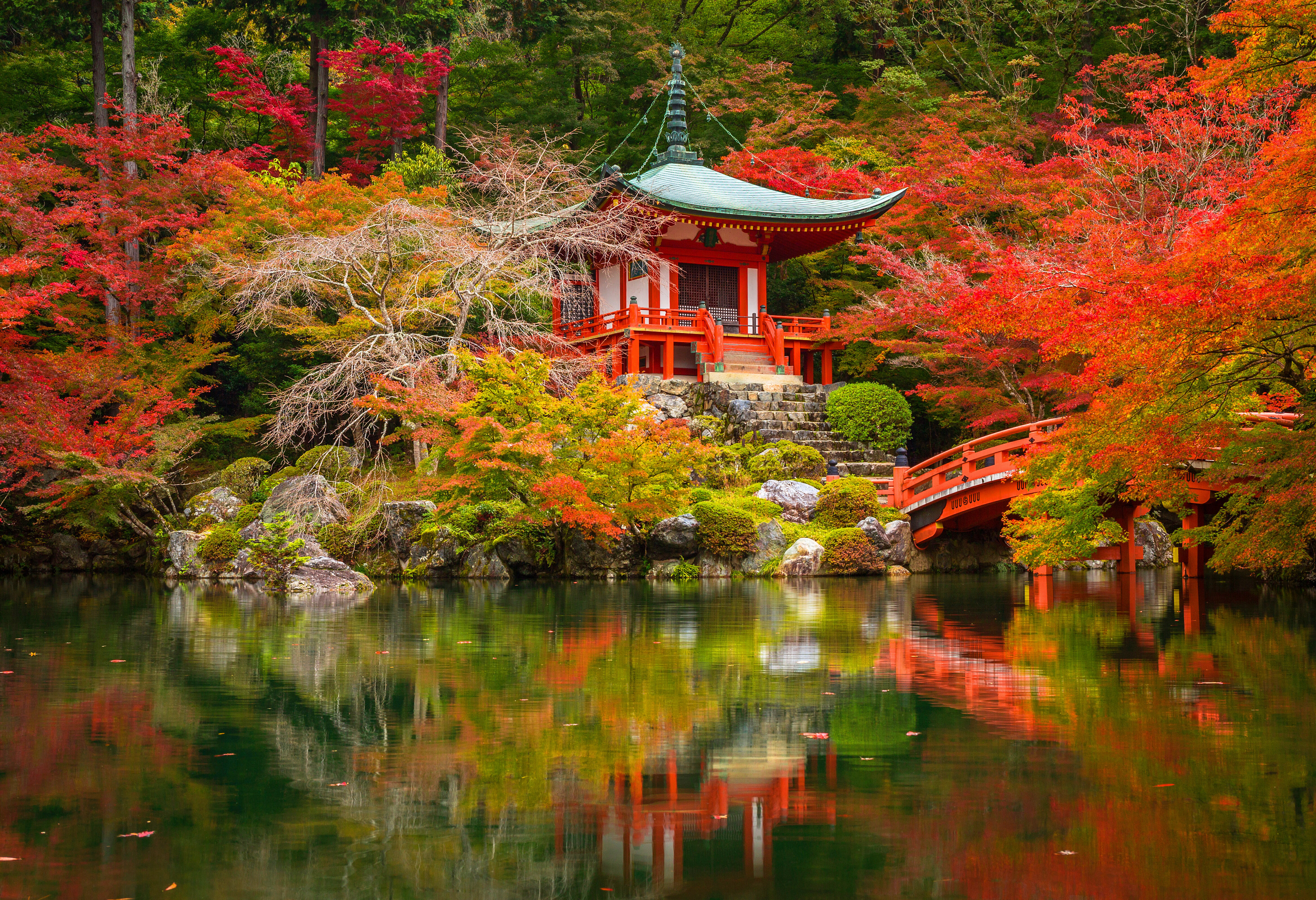 Japan Kyoto Japanse tuin