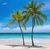 Amerika-Florida-Key-West-Paradise-Beach-